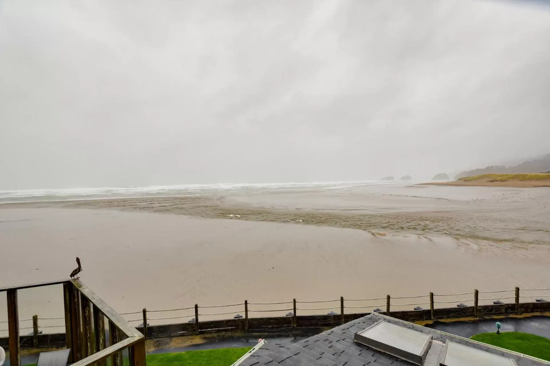 Sea view, Winter in The Waves