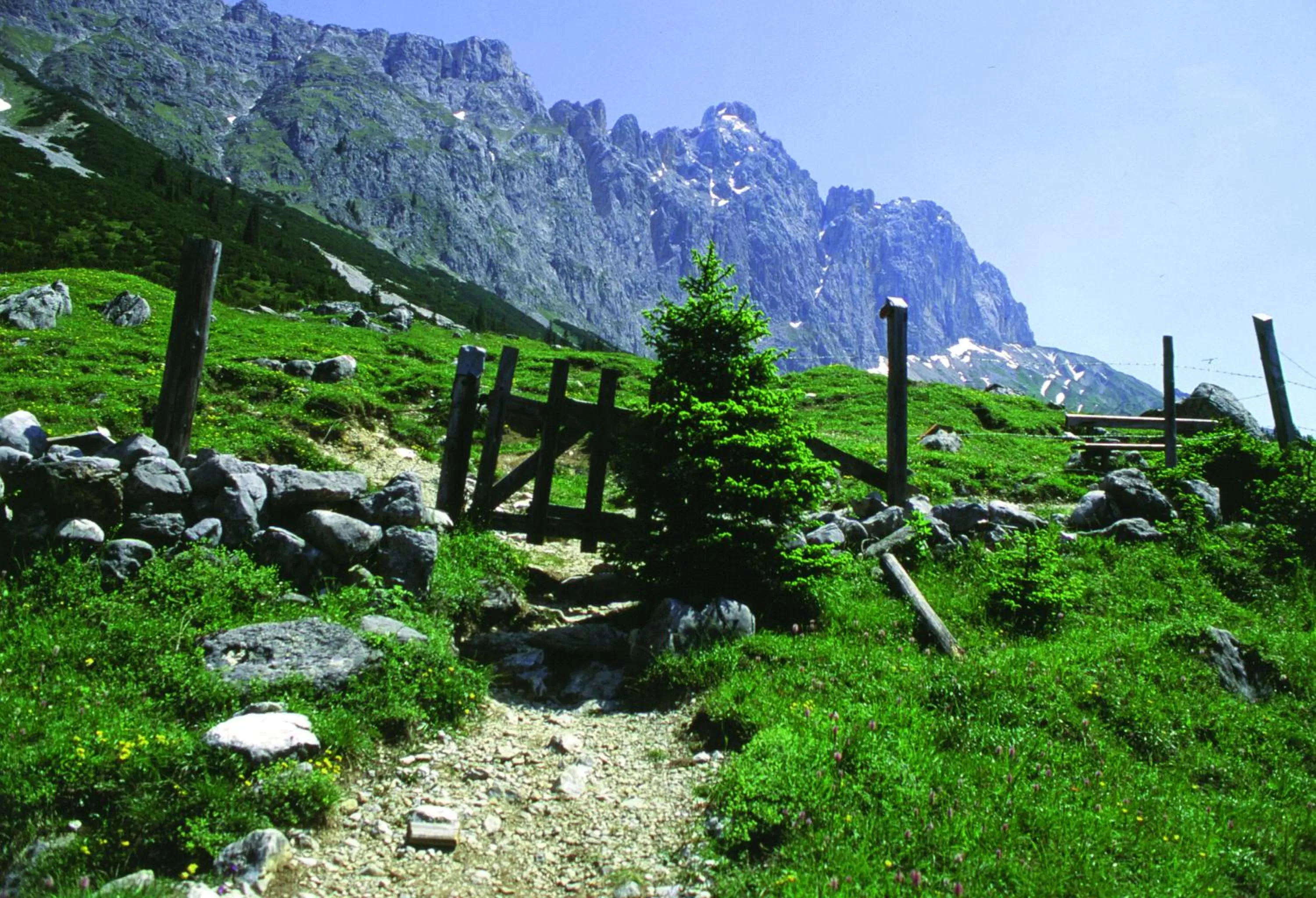 Location in Hotel Diana