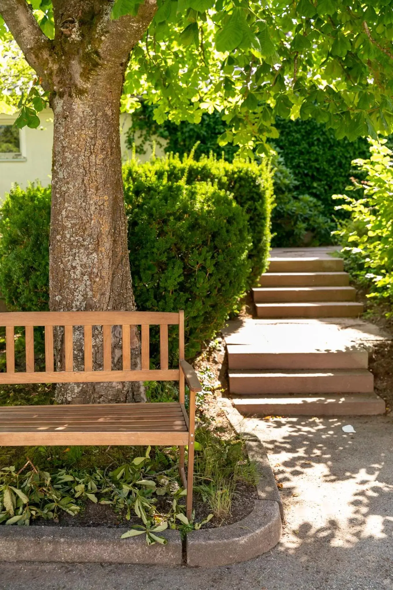 Garden in Hotel Schwarzwald Freudenstadt