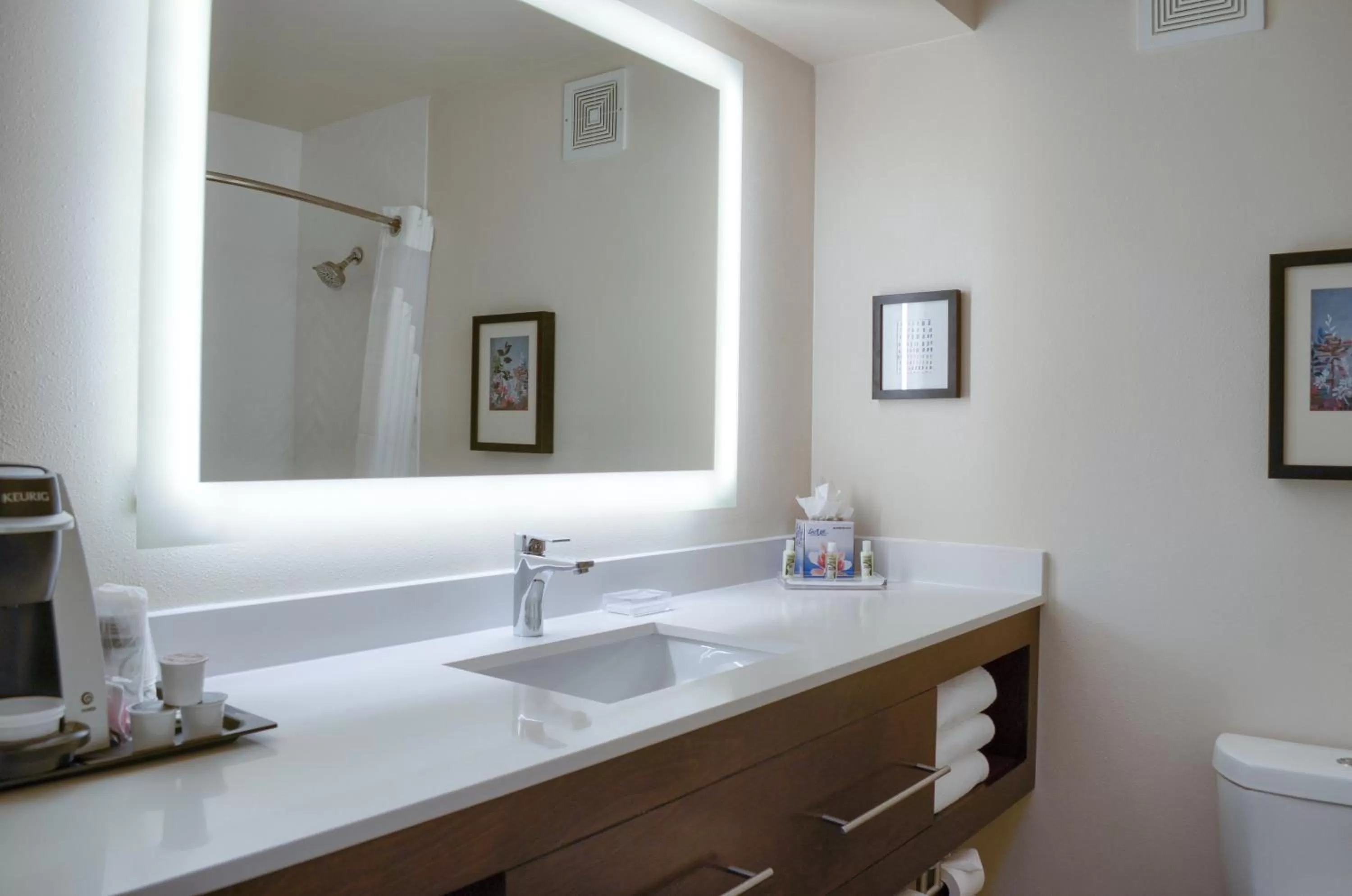 Bathroom in Holiday Inn Mobile West I-10 by IHG