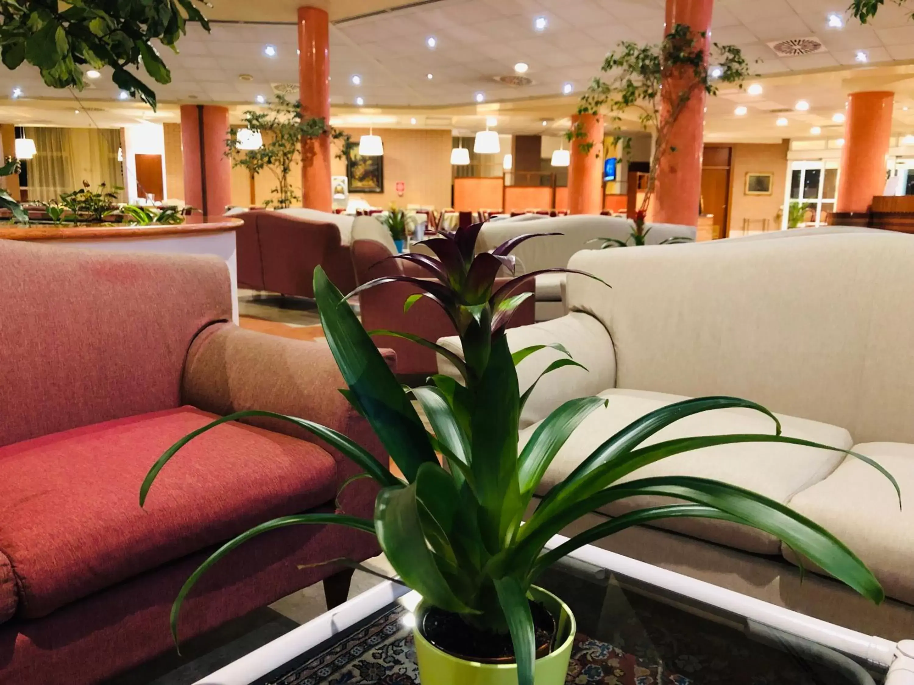 Lobby or reception in Hotel Green Park Bologna & Congressi