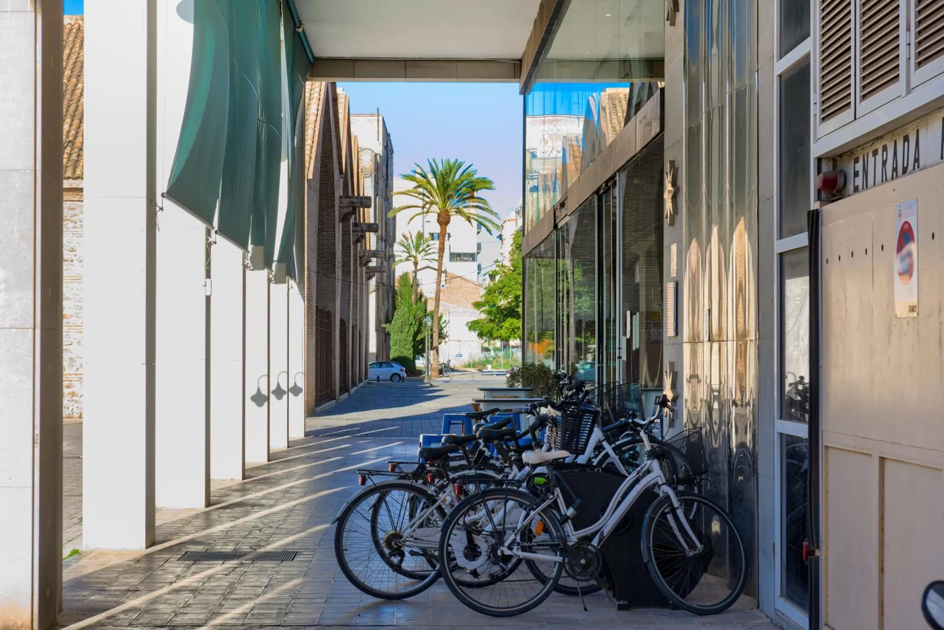 Cycling in Sea You Hotel Port Valencia
