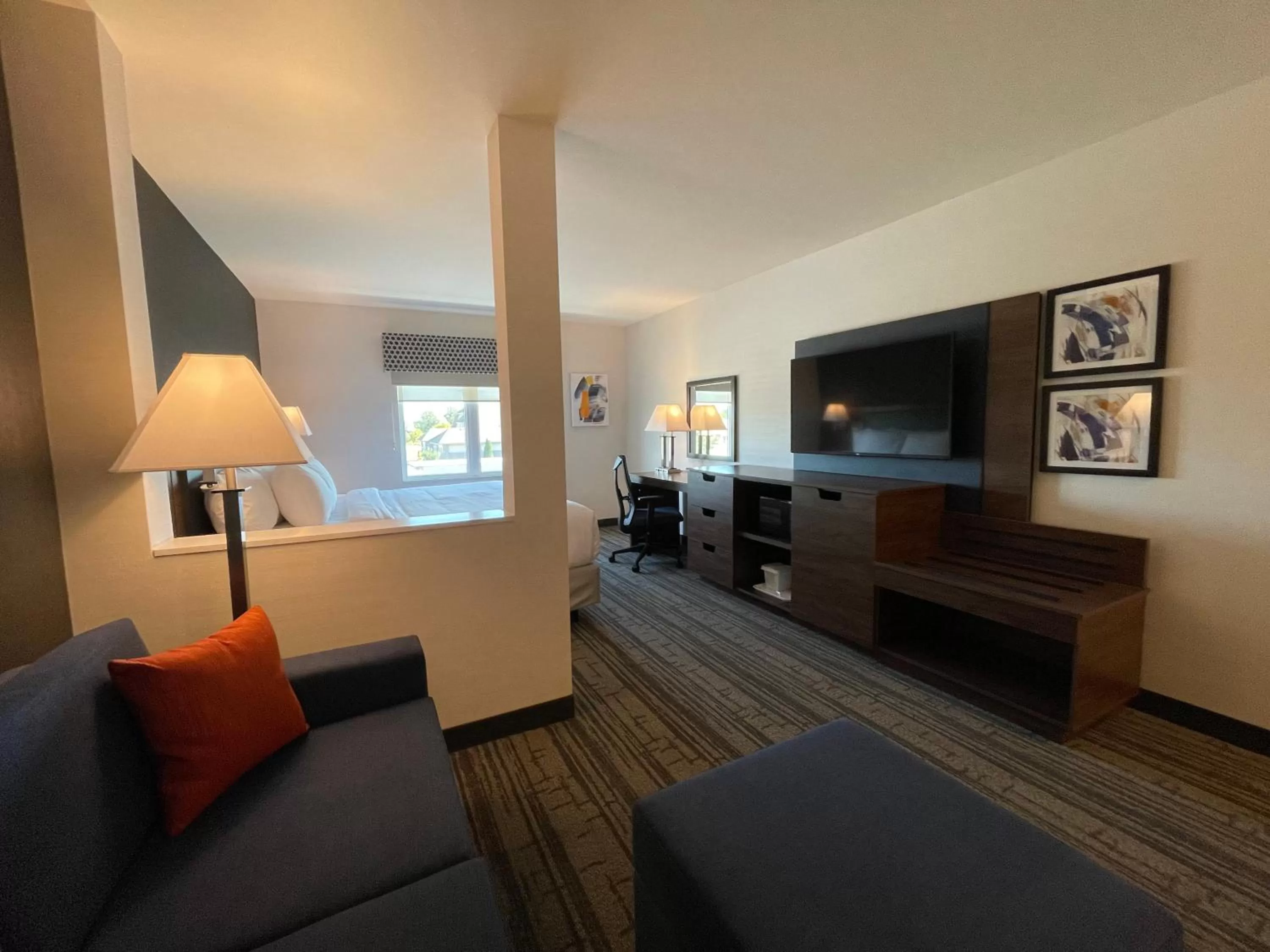 TV and multimedia in Comfort Inn & Suites