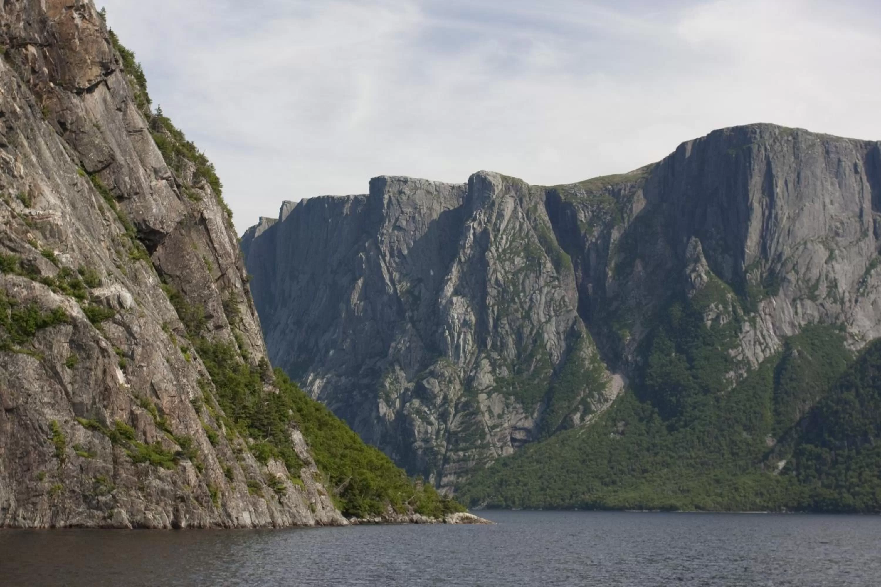 Other in Deer Lake Horizon Hotel