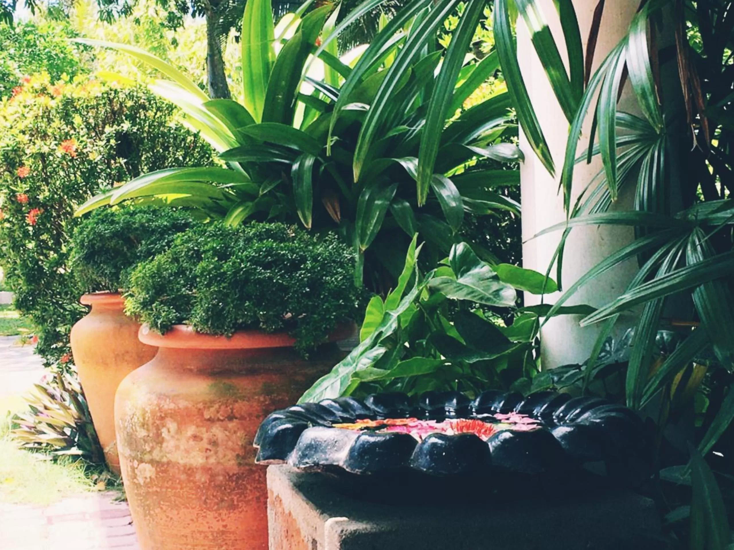 Seyara Holiday Resort