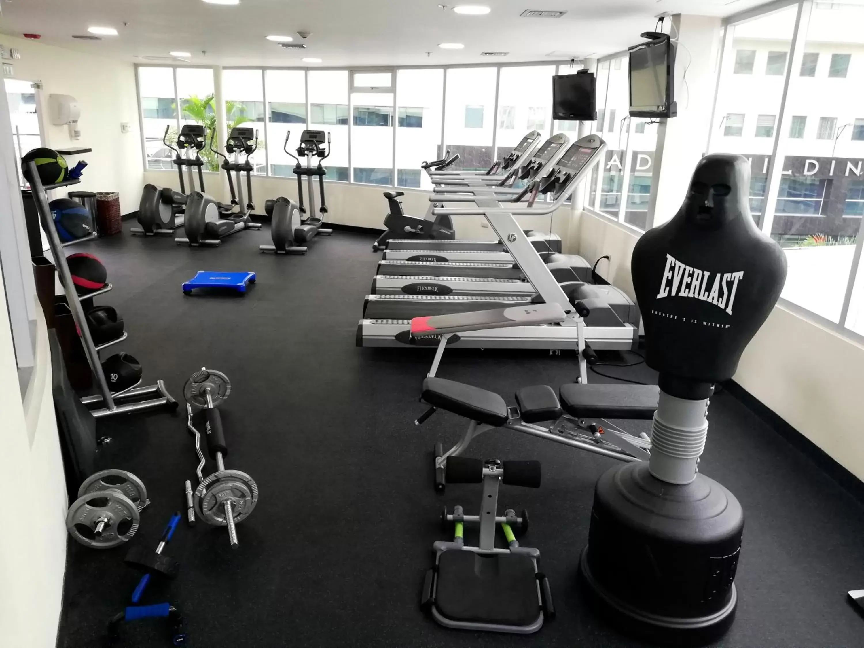 Fitness centre/facilities, Fitness Center/Facilities in TRYP by Wyndham Guayaquil