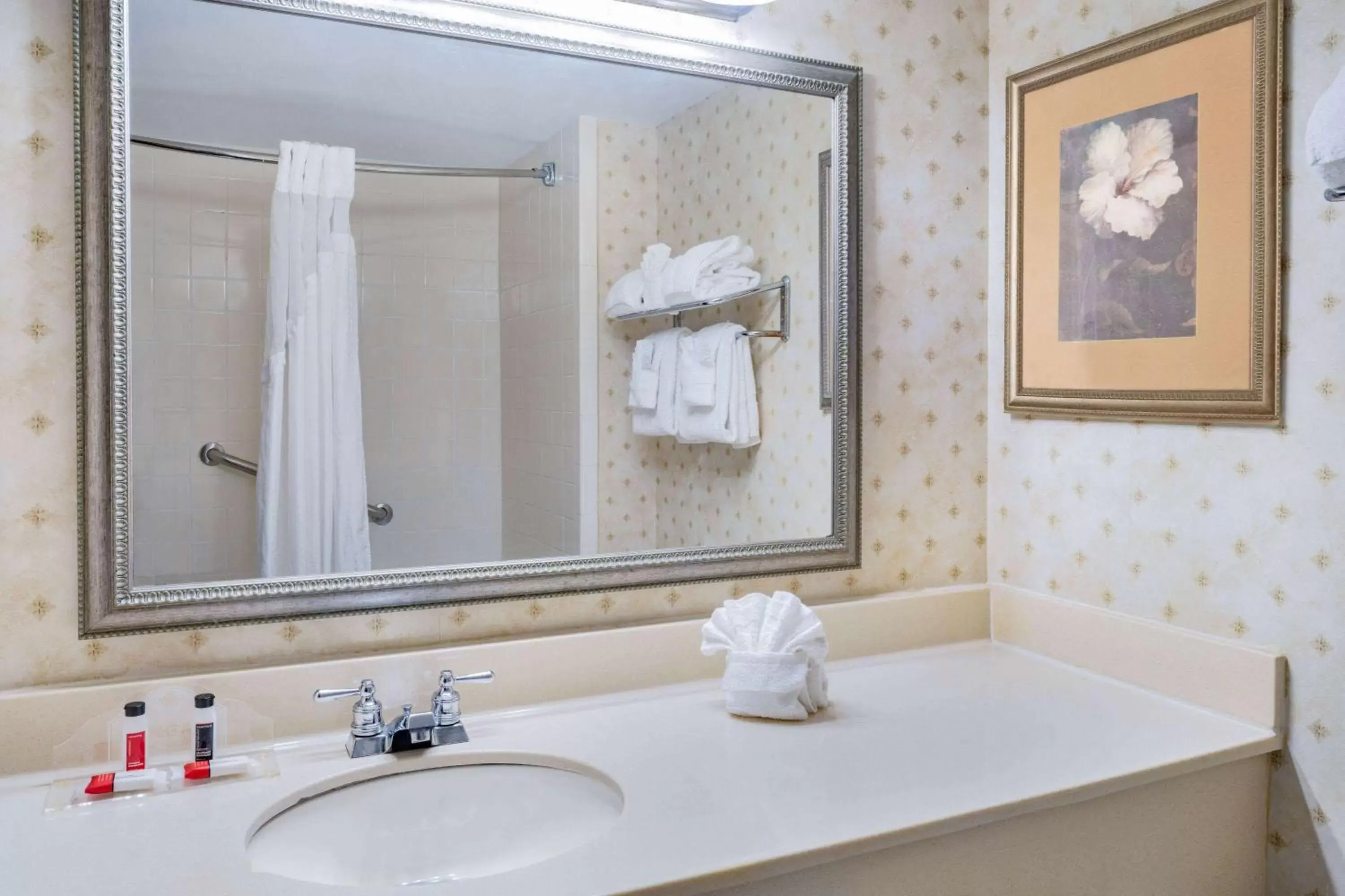 TV and multimedia, Bathroom in Wingate by Wyndham Atlanta-Duluth
