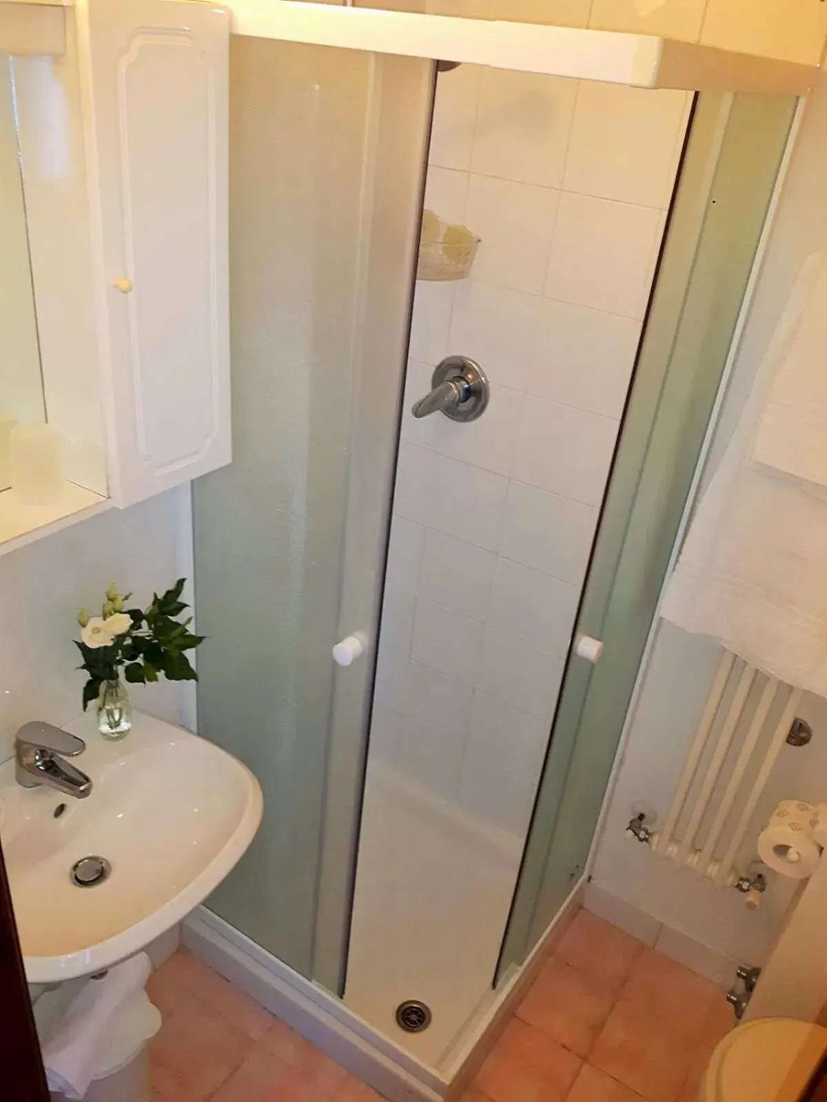 Shower, Bathroom in Giada Palace - Pool & Resort