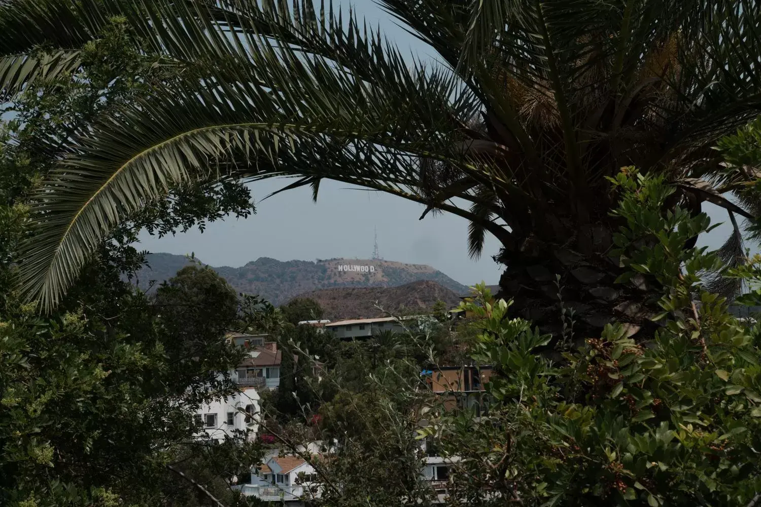 Landmark view in Hollywood Hills Hotel