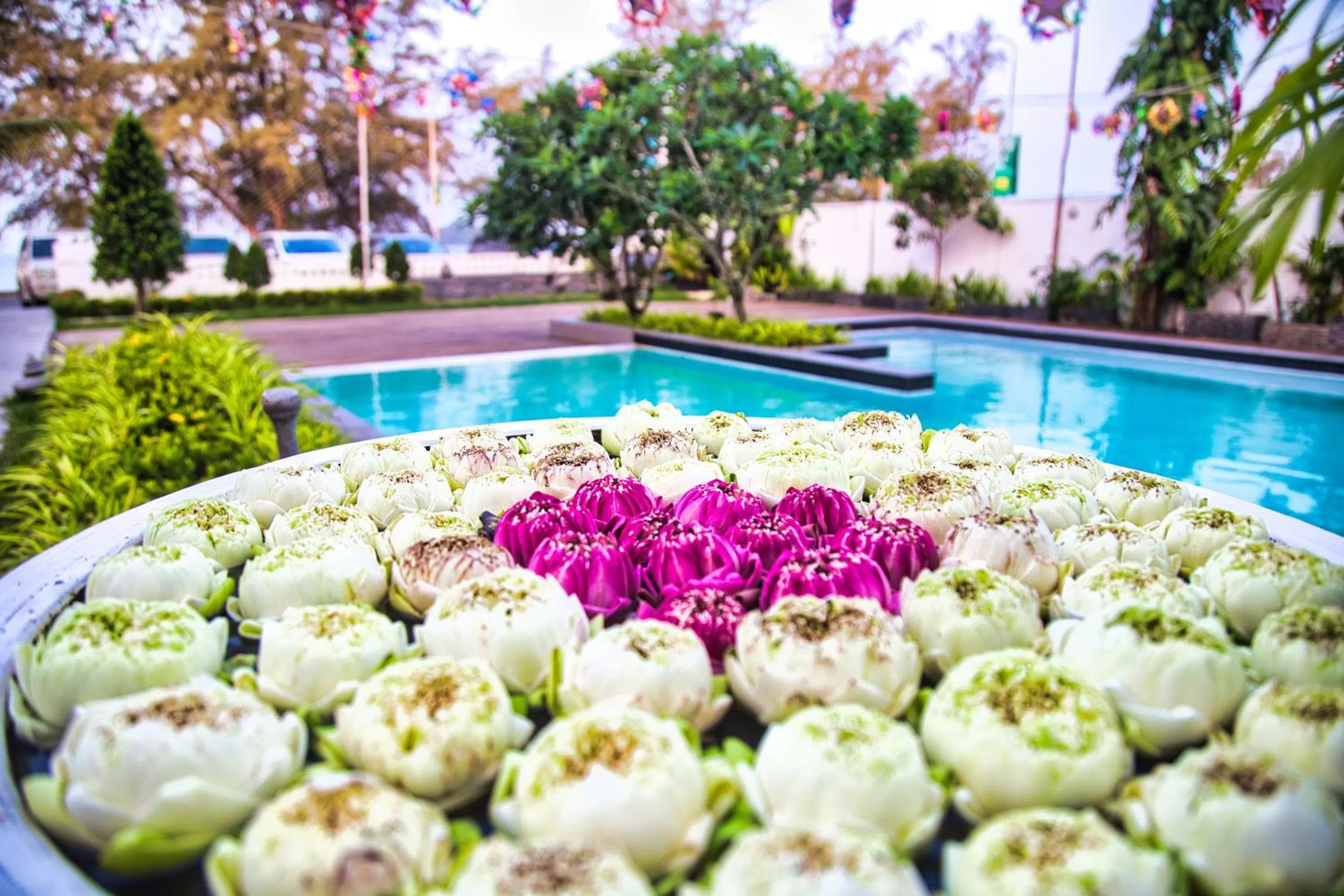 Day in Naiya Sea Resort