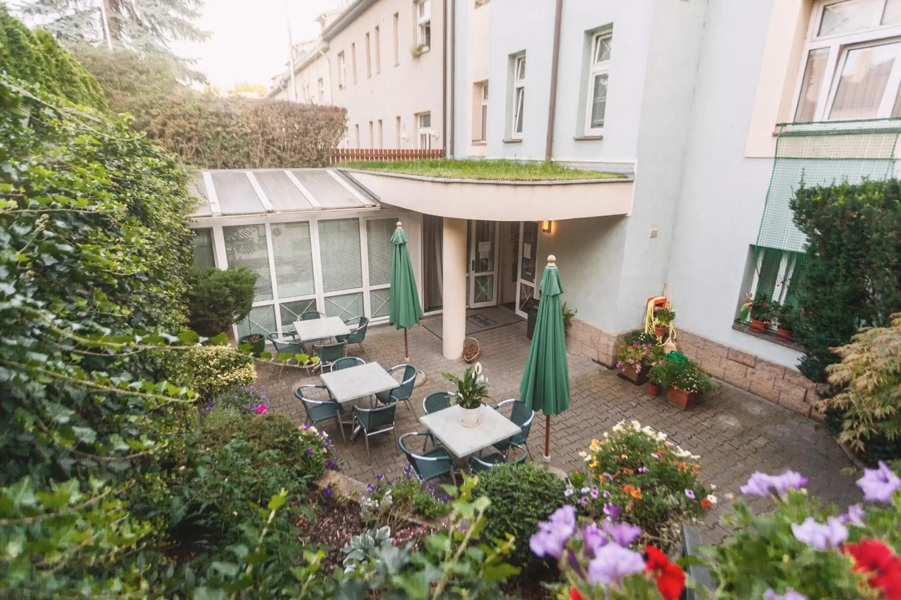 Garden in Hotel Peko