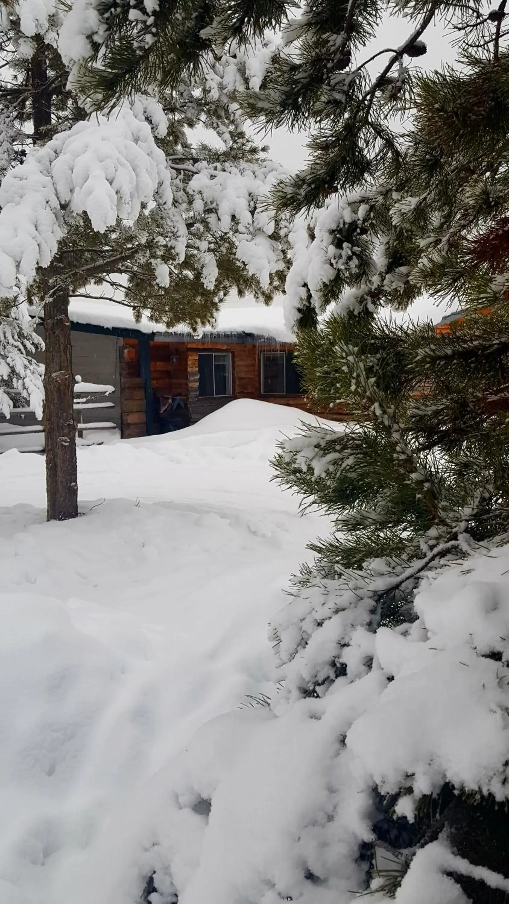 Facade/entrance, Winter in Woodhouse Cottages And Ranch