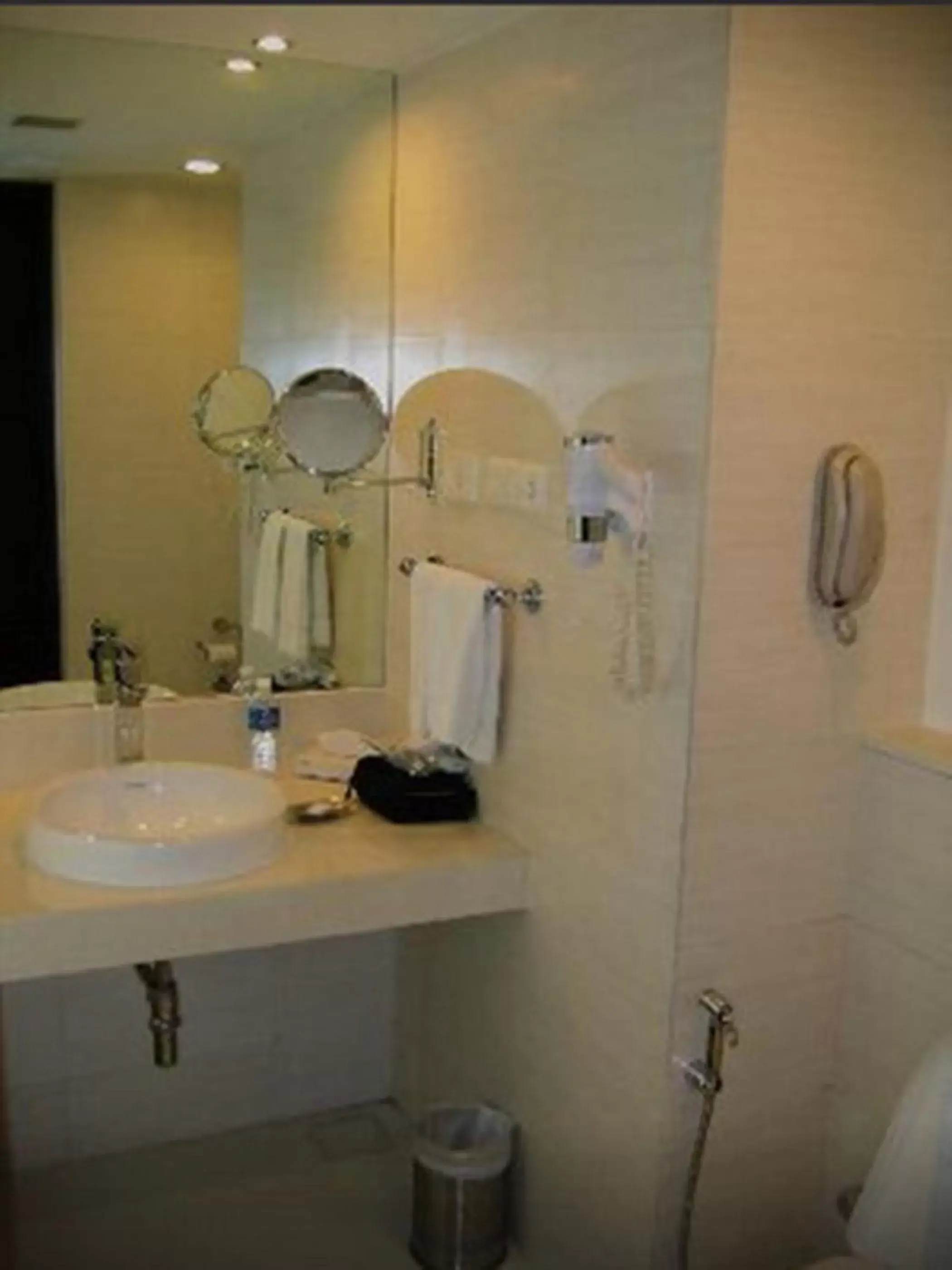 Toilet, Bathroom in Royal Orchid Central, Pune