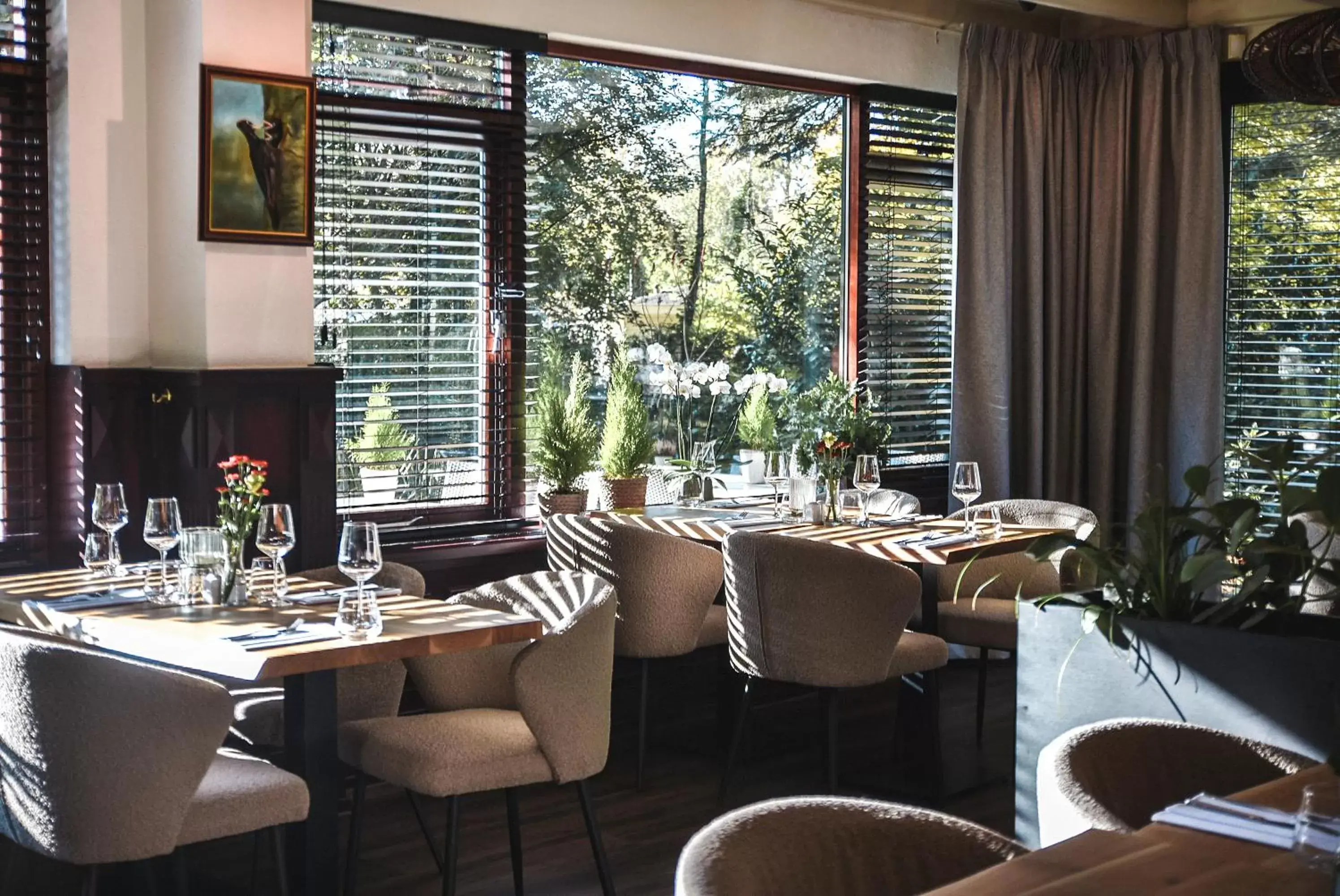 Restaurant/Places to Eat in Witte Berken Natuurhotel