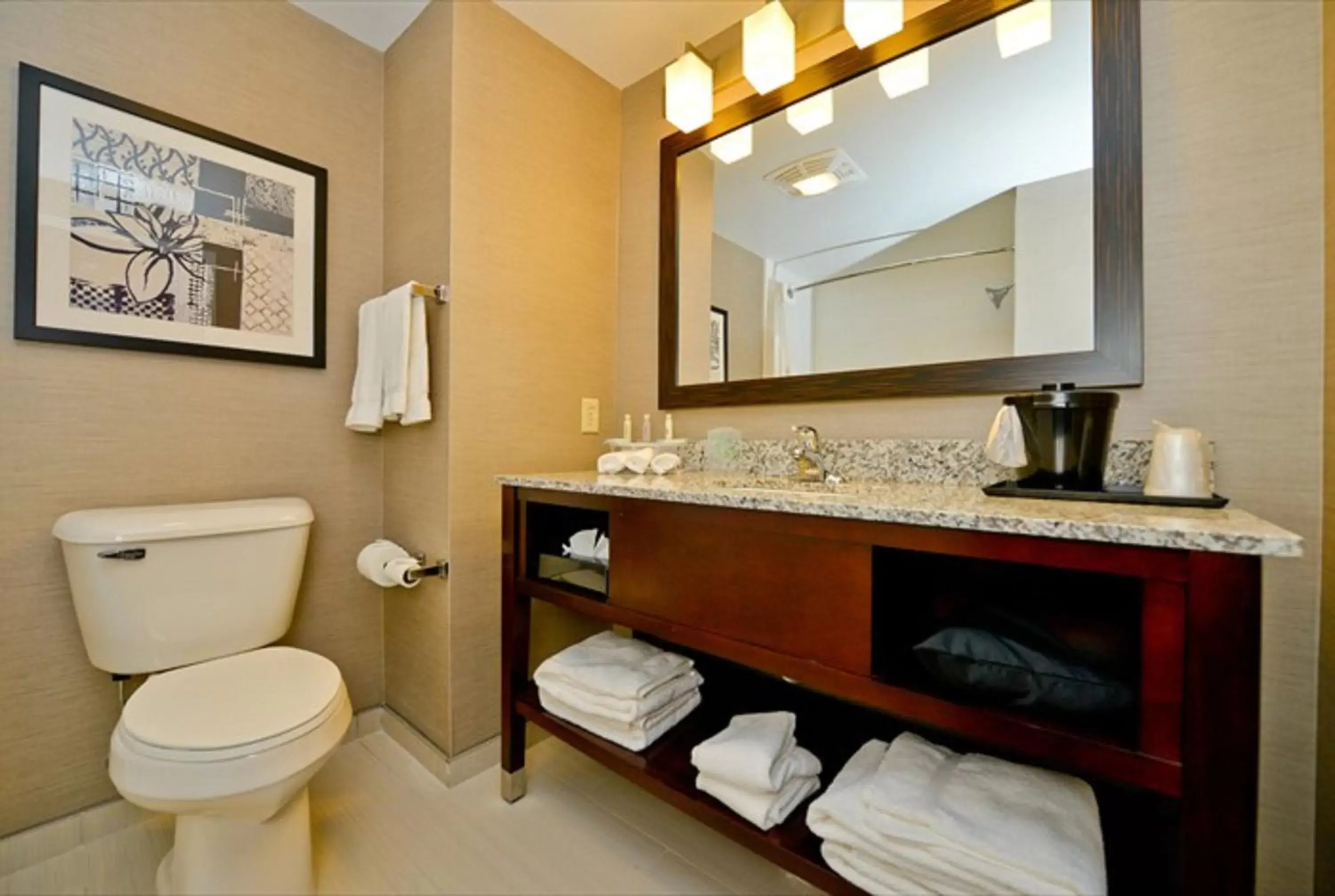 Photo of the whole room, Bathroom in Holiday Inn Express Canandaigua, an IHG Hotel