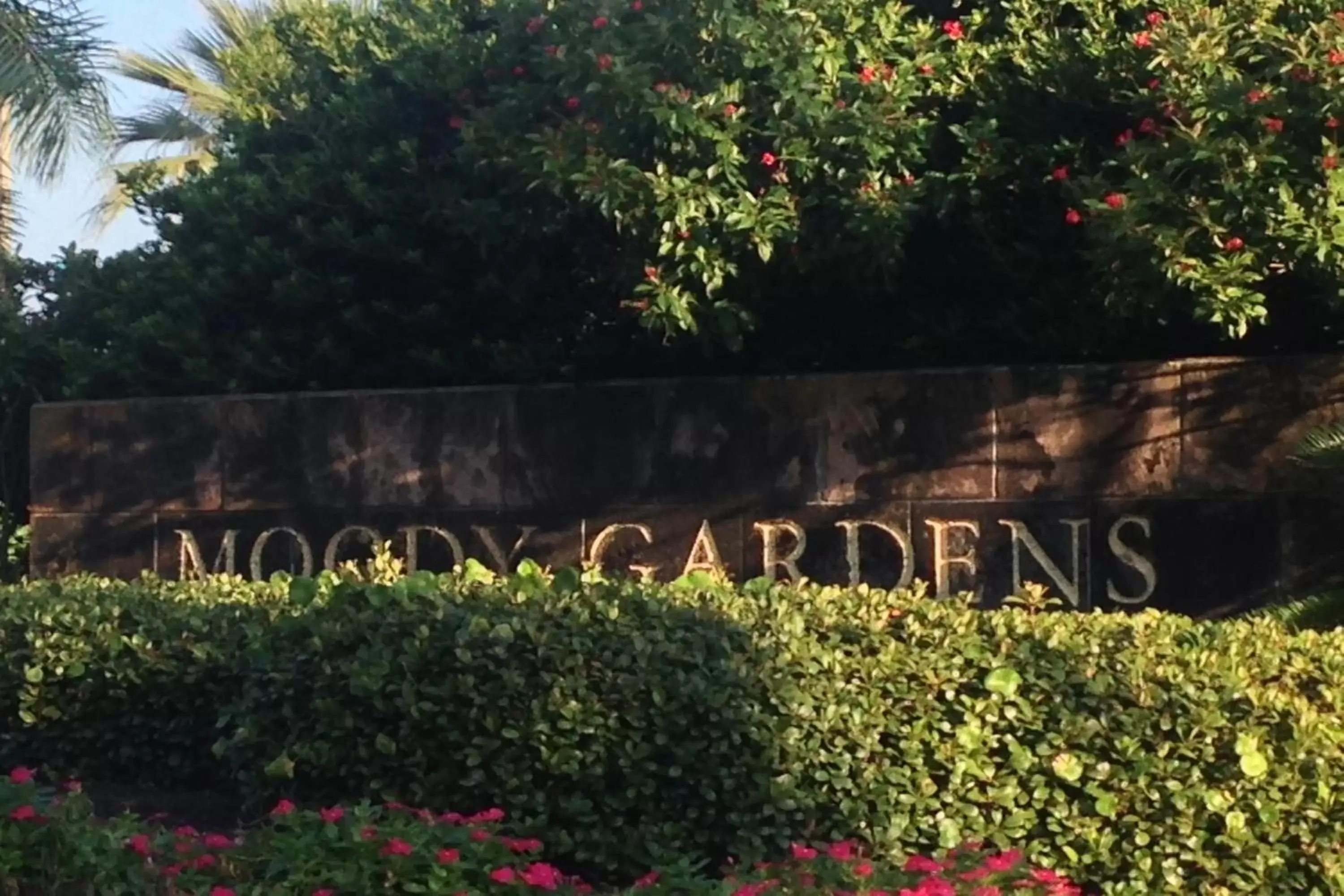 Property building, Garden in Moody Gardens Hotel, Spa and Convention Center