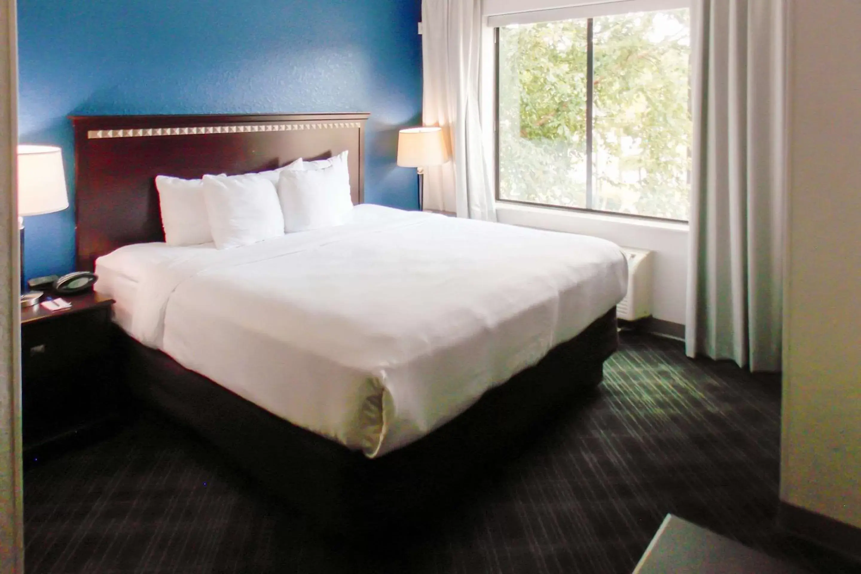 Bedroom, Bed in Comfort Suites Salem-Roanoke I-81