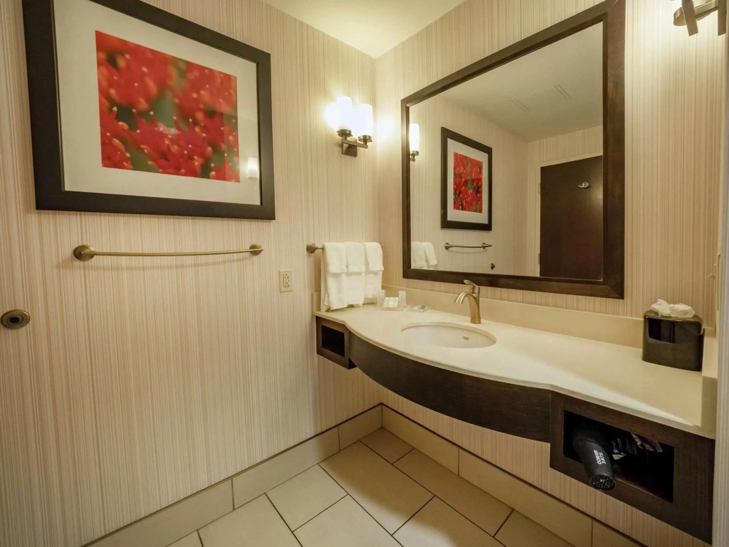 Bathroom in The Hilton Garden Inn Buffalo-Downtown