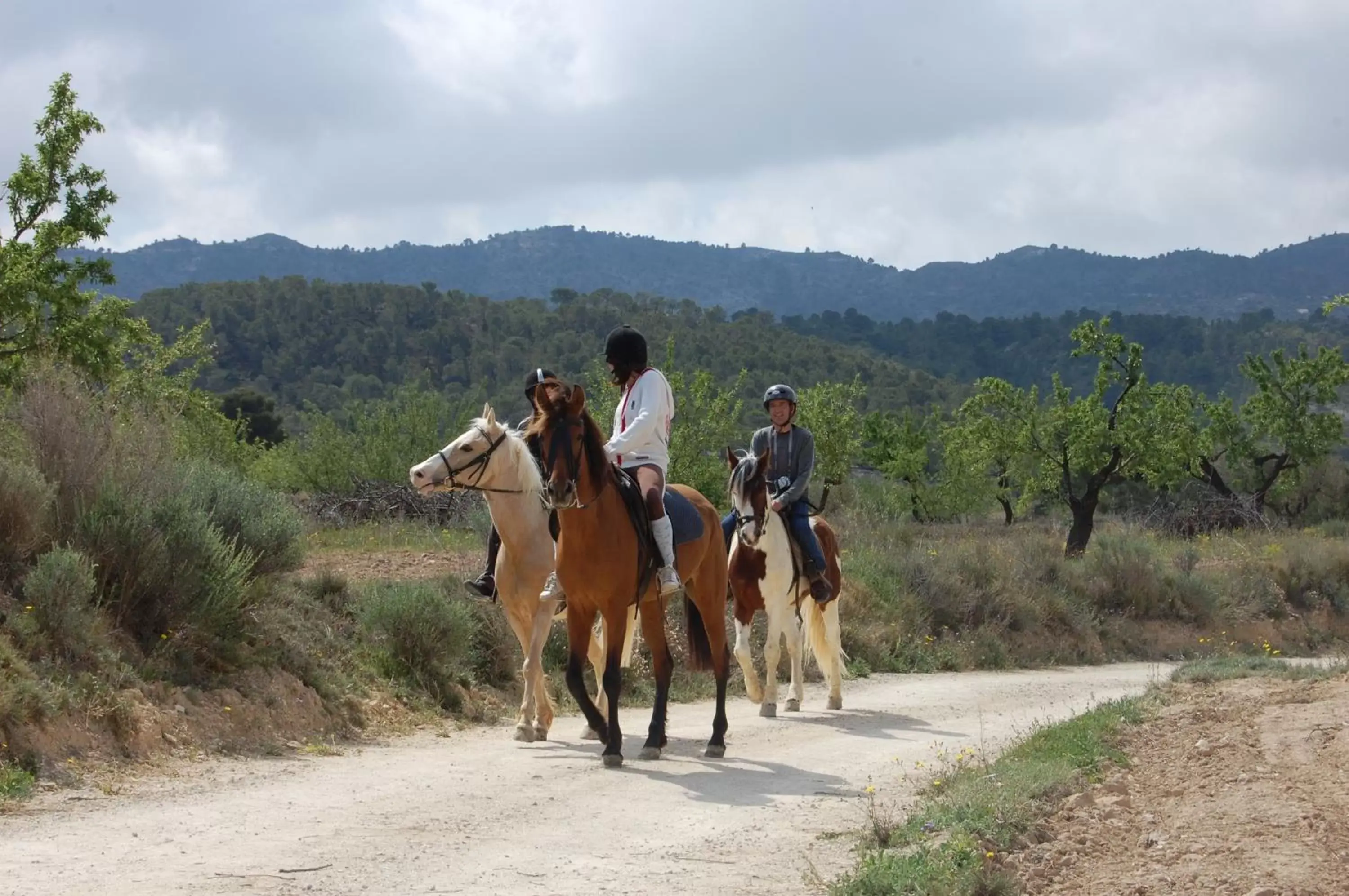 Horse-riding, Horseback Riding in El Pao Spa