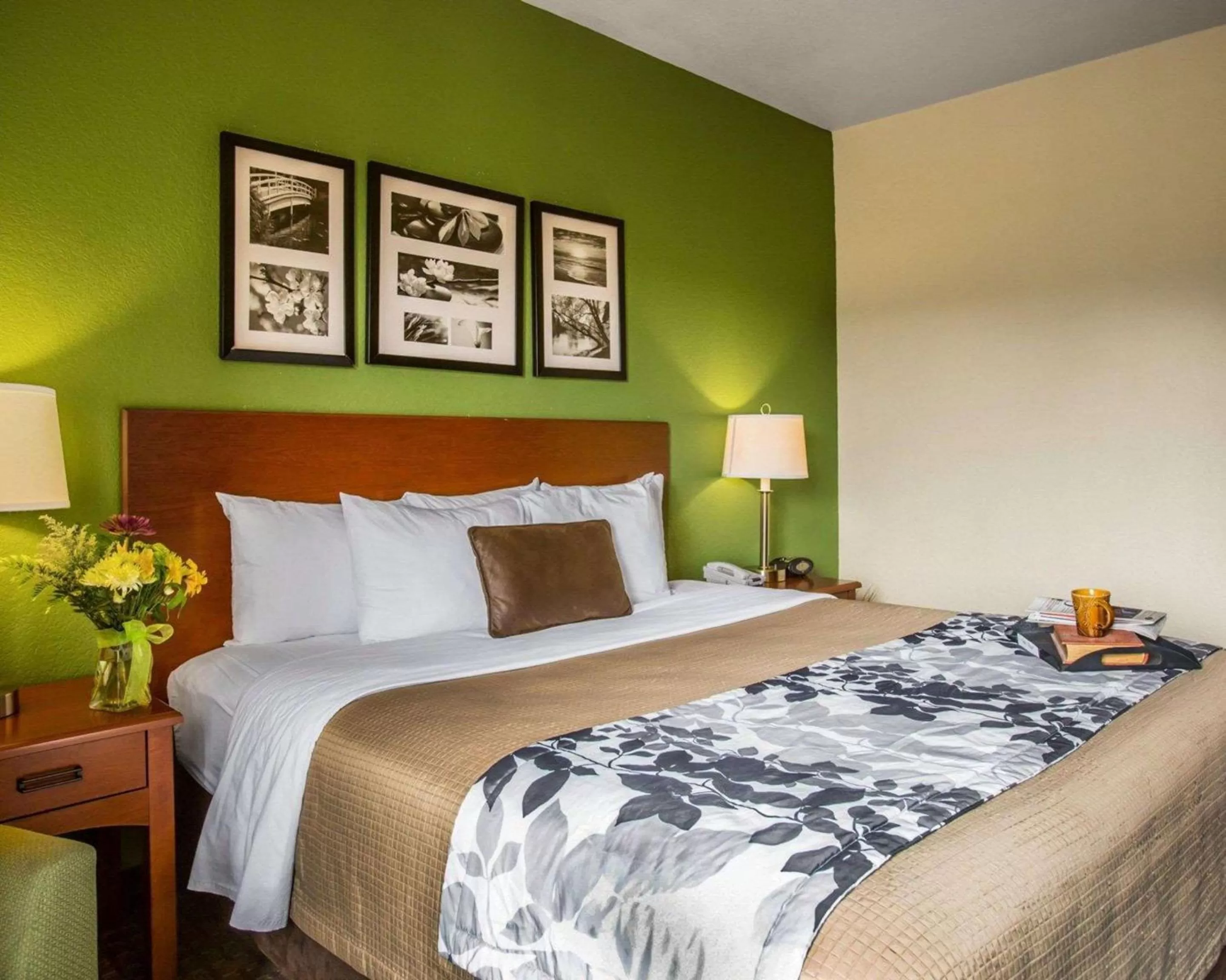 Photo of the whole room, Bed in Sleep Inn & Suites Gonzales near Palmetto State Park