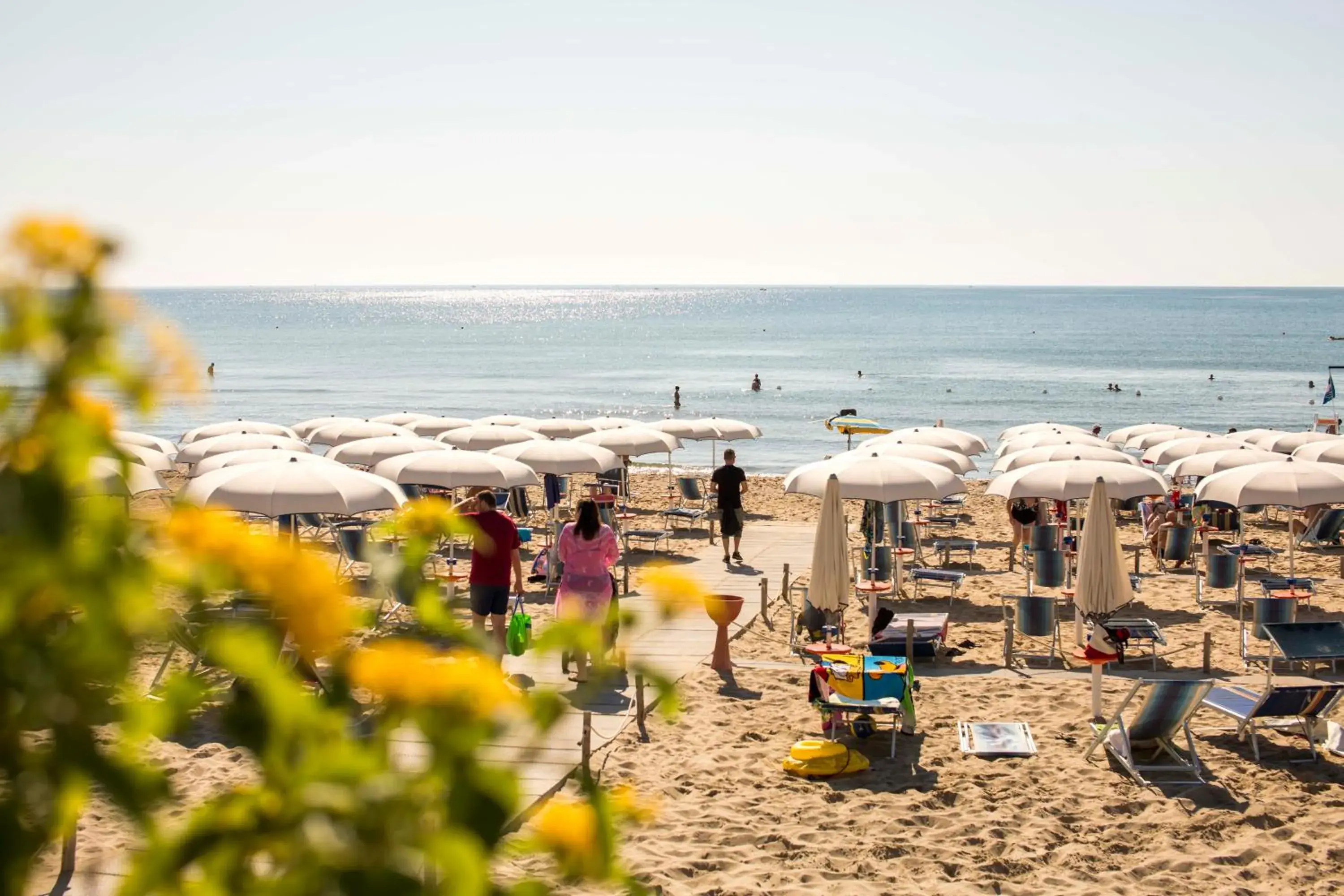 Beach in Ticho's