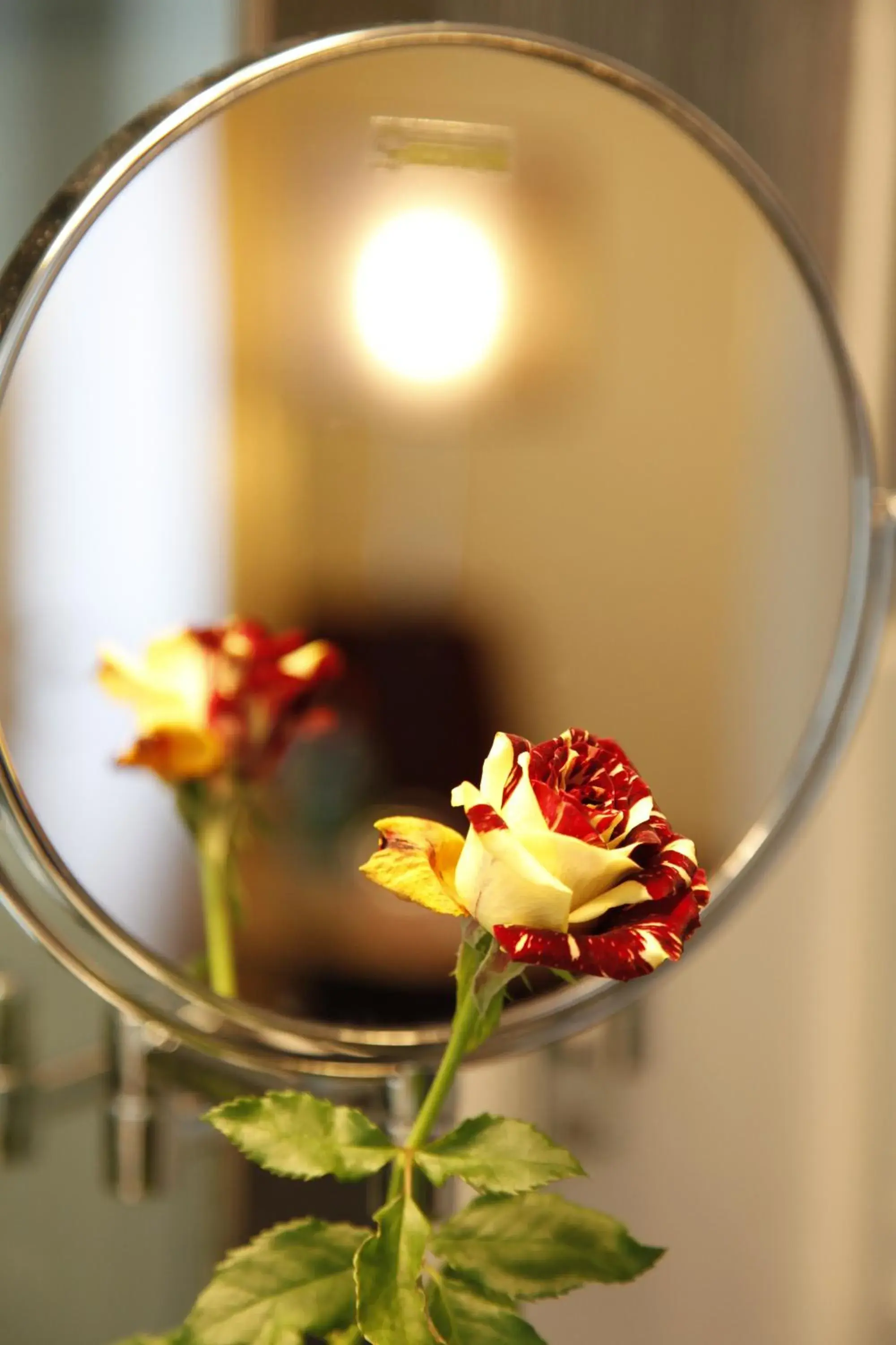 Lobby or reception in Comfort Hotel tom Kyle Lobby or reception in Comfort Hotel tom Kyle