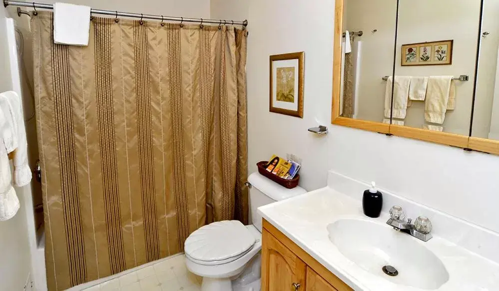 Bathroom in Elk Forge Bed and Breakfast