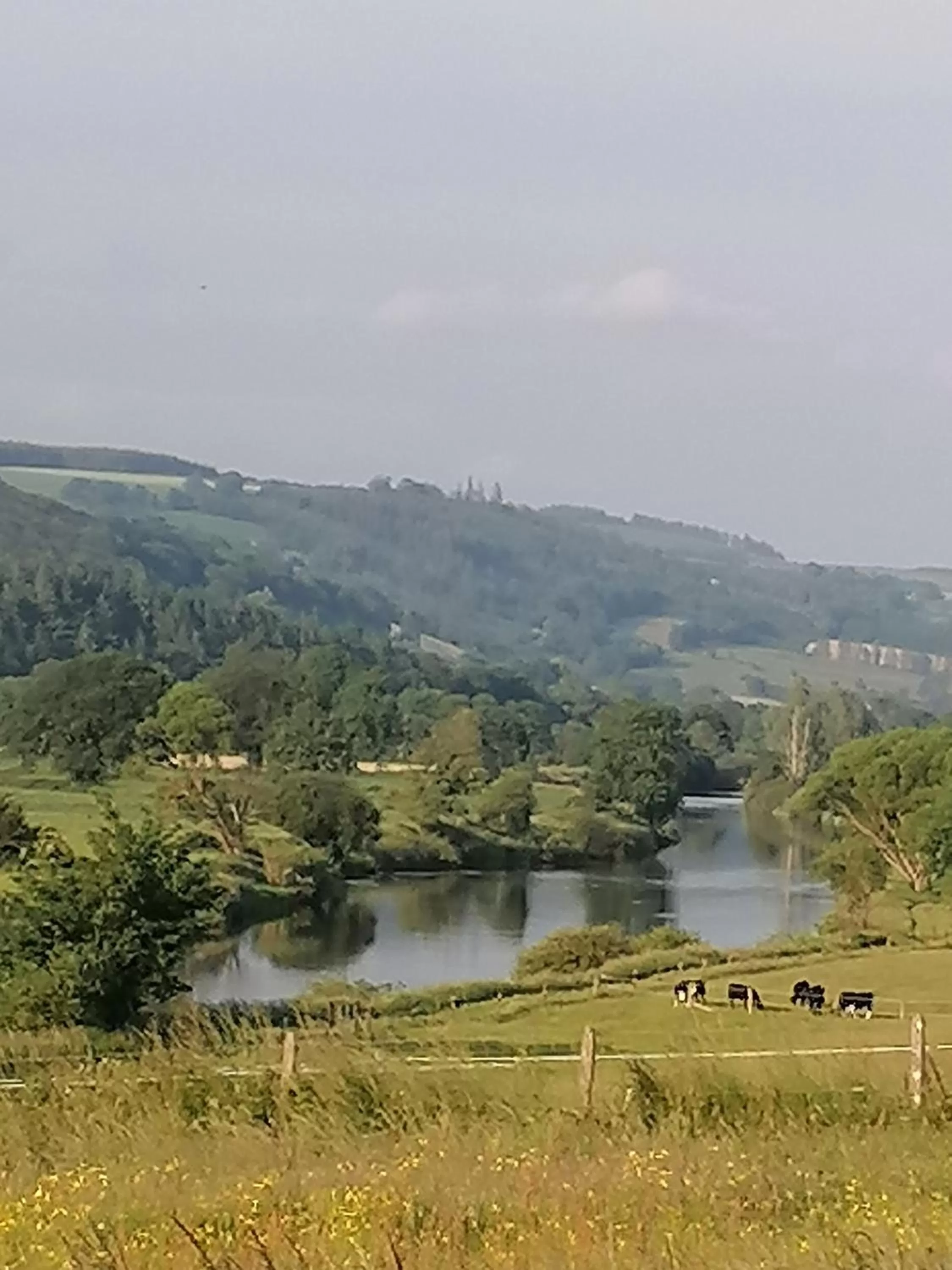 Cable Island Bed and Breakfast