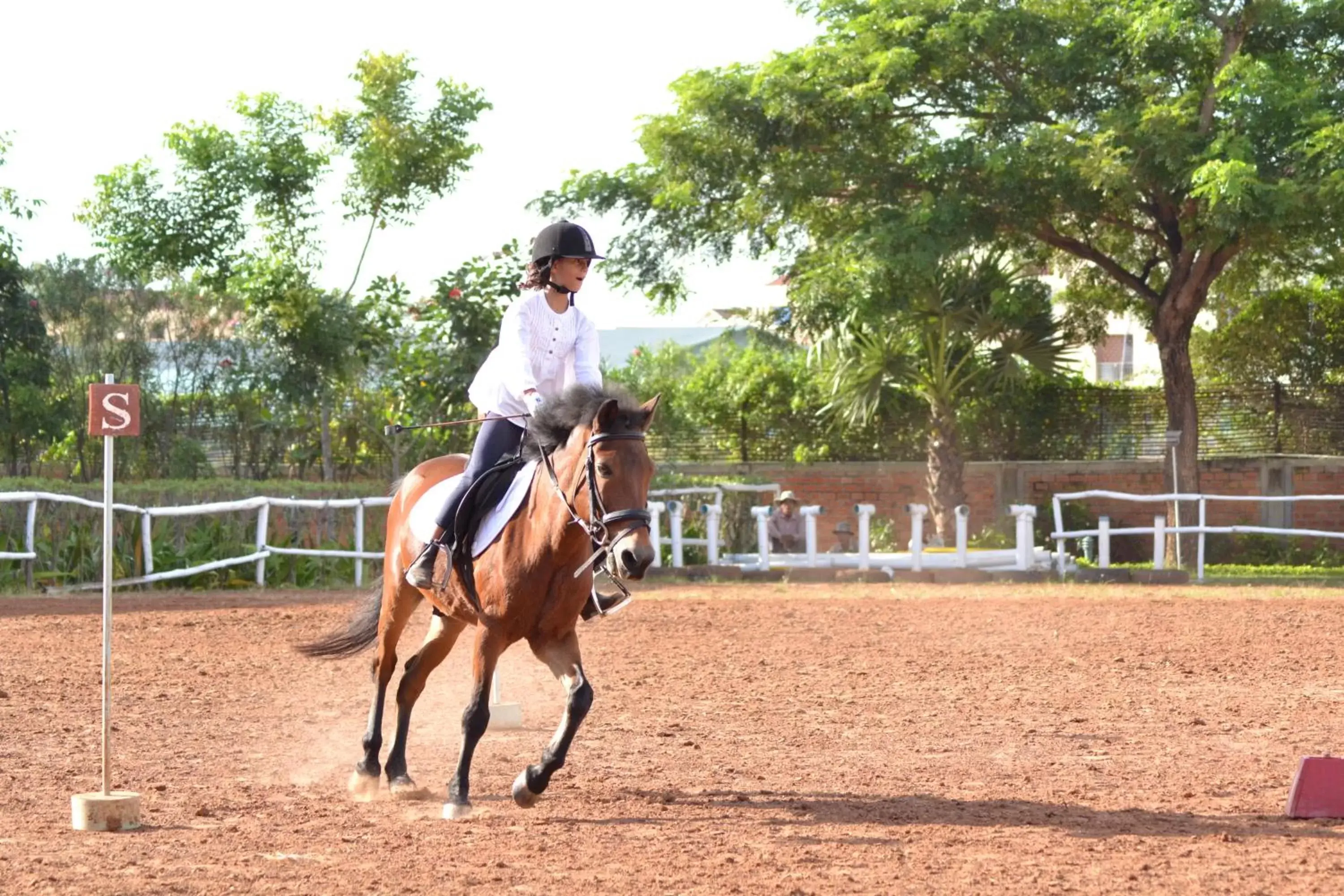 Horse-riding, Horseback Riding in Cambodian Country Club
