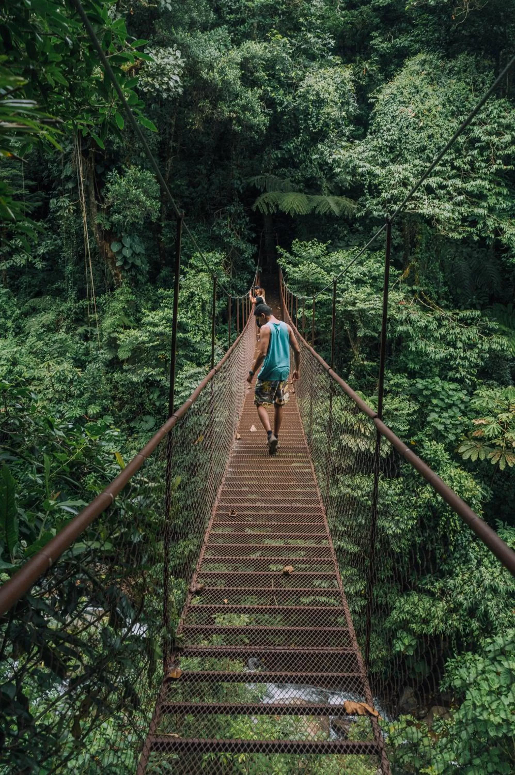 Hiking in TREE TREK BOQUETE Adventure Park