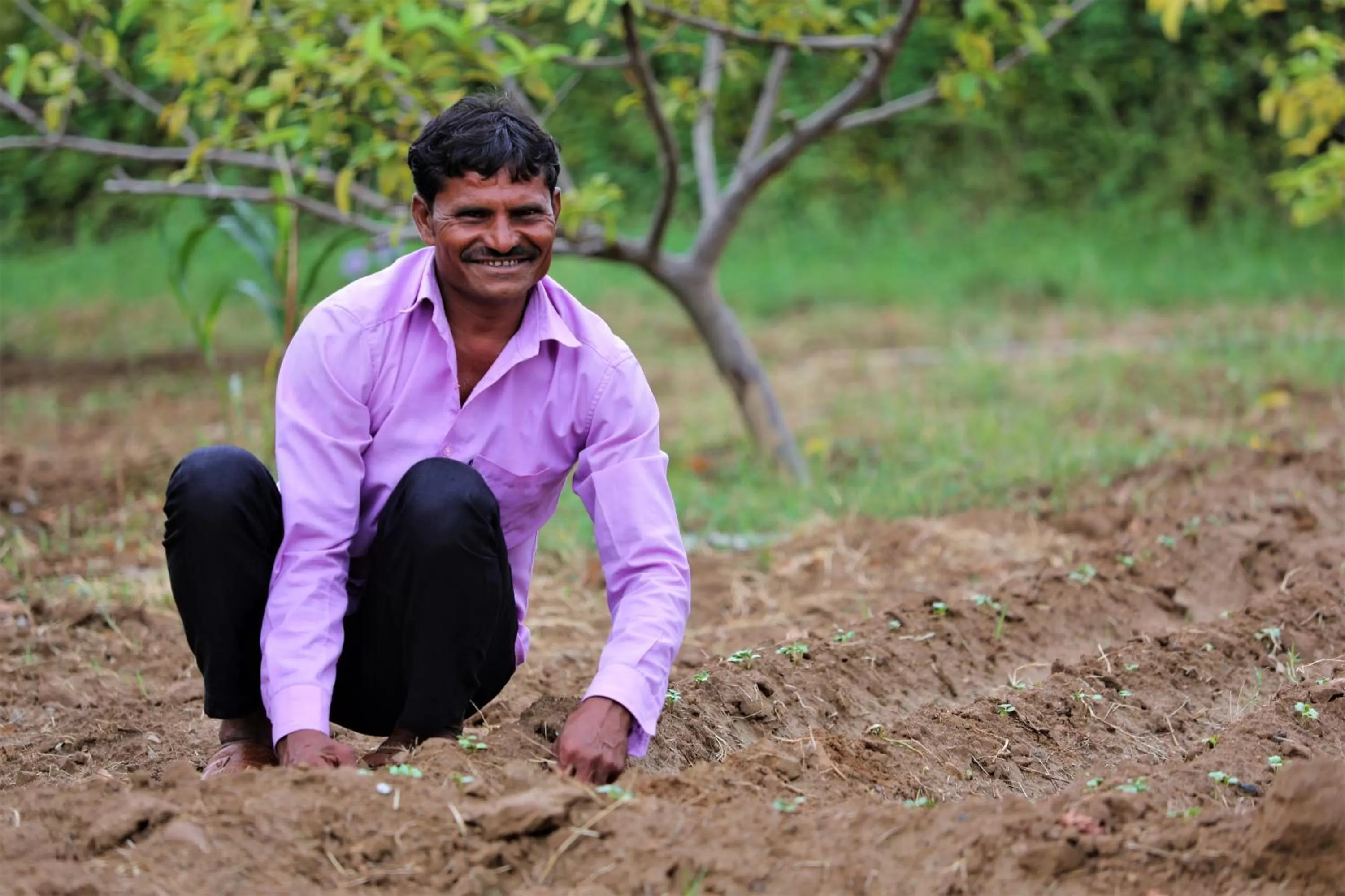 Camp Paridhi Ranthambhore, Homestay