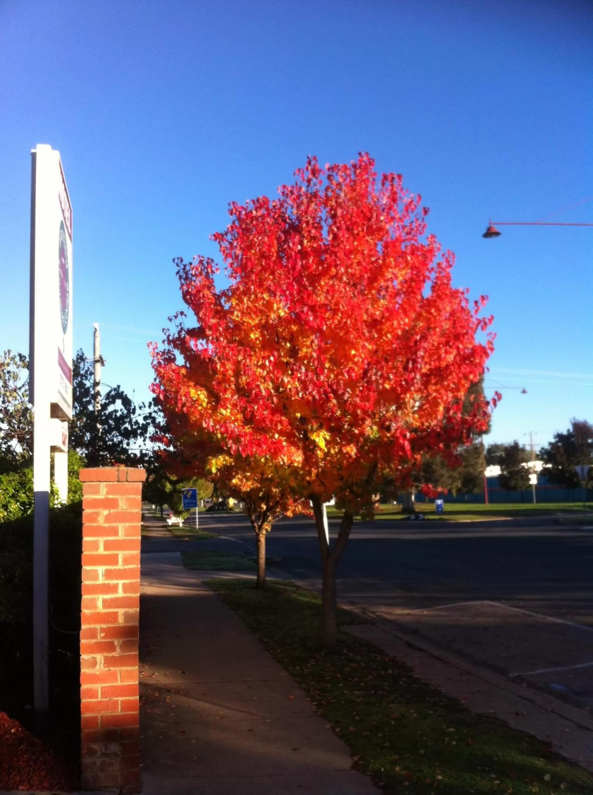 Facade/entrance in Mansfield Travellers Lodge