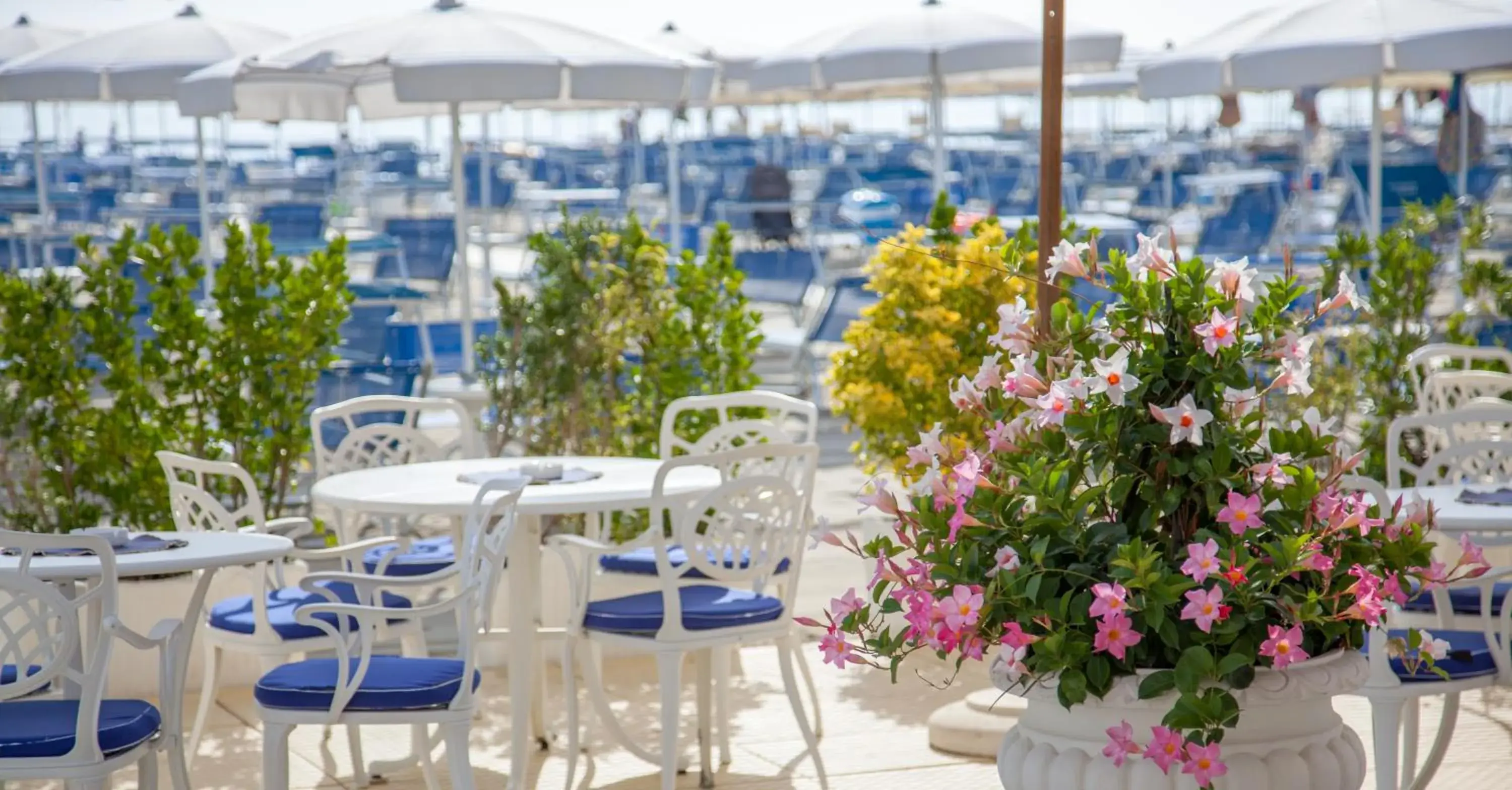 Beach in Hotel Aurelia