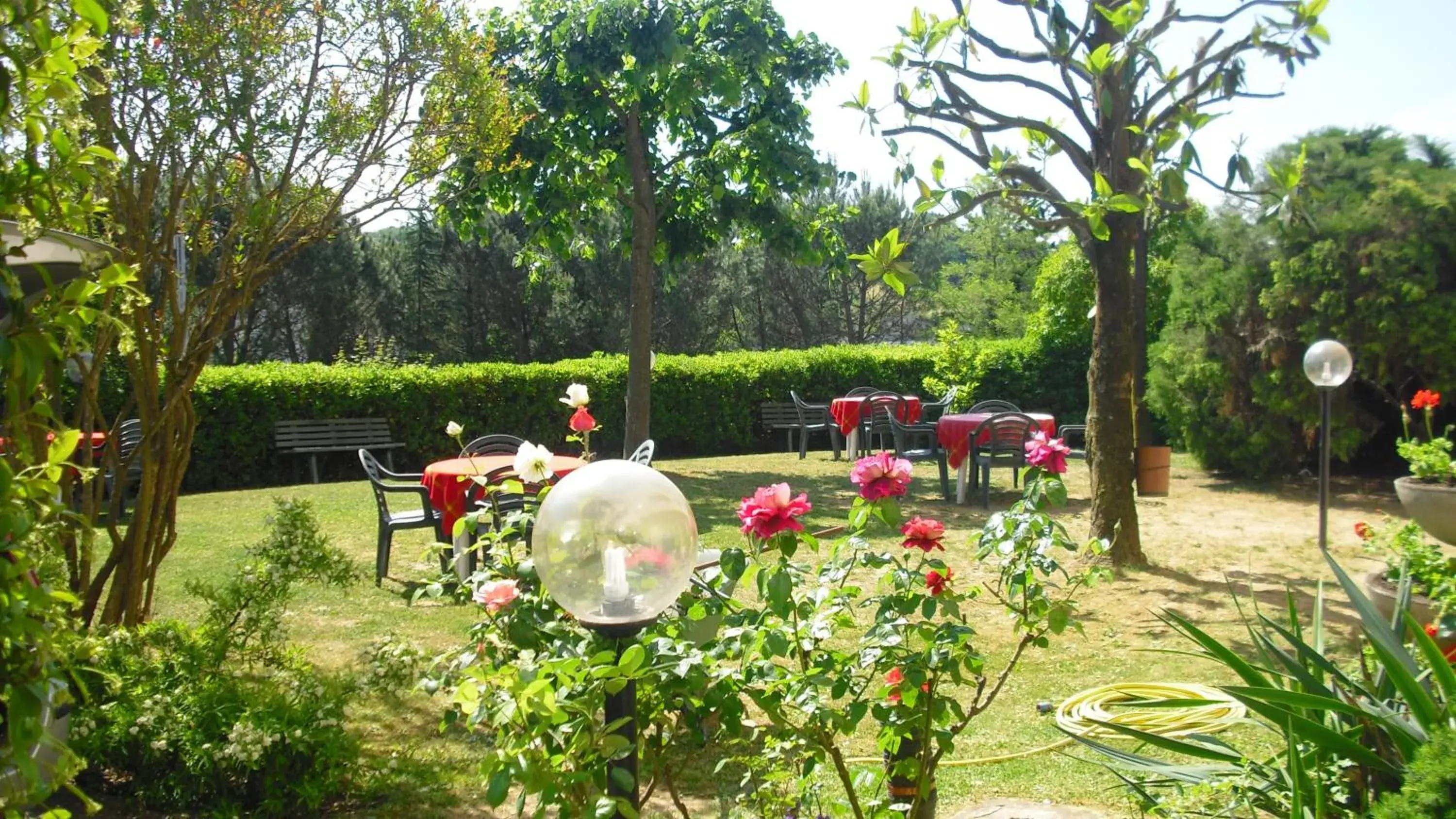 Garden, Restaurant/Places to Eat in Park Hotel Galileo