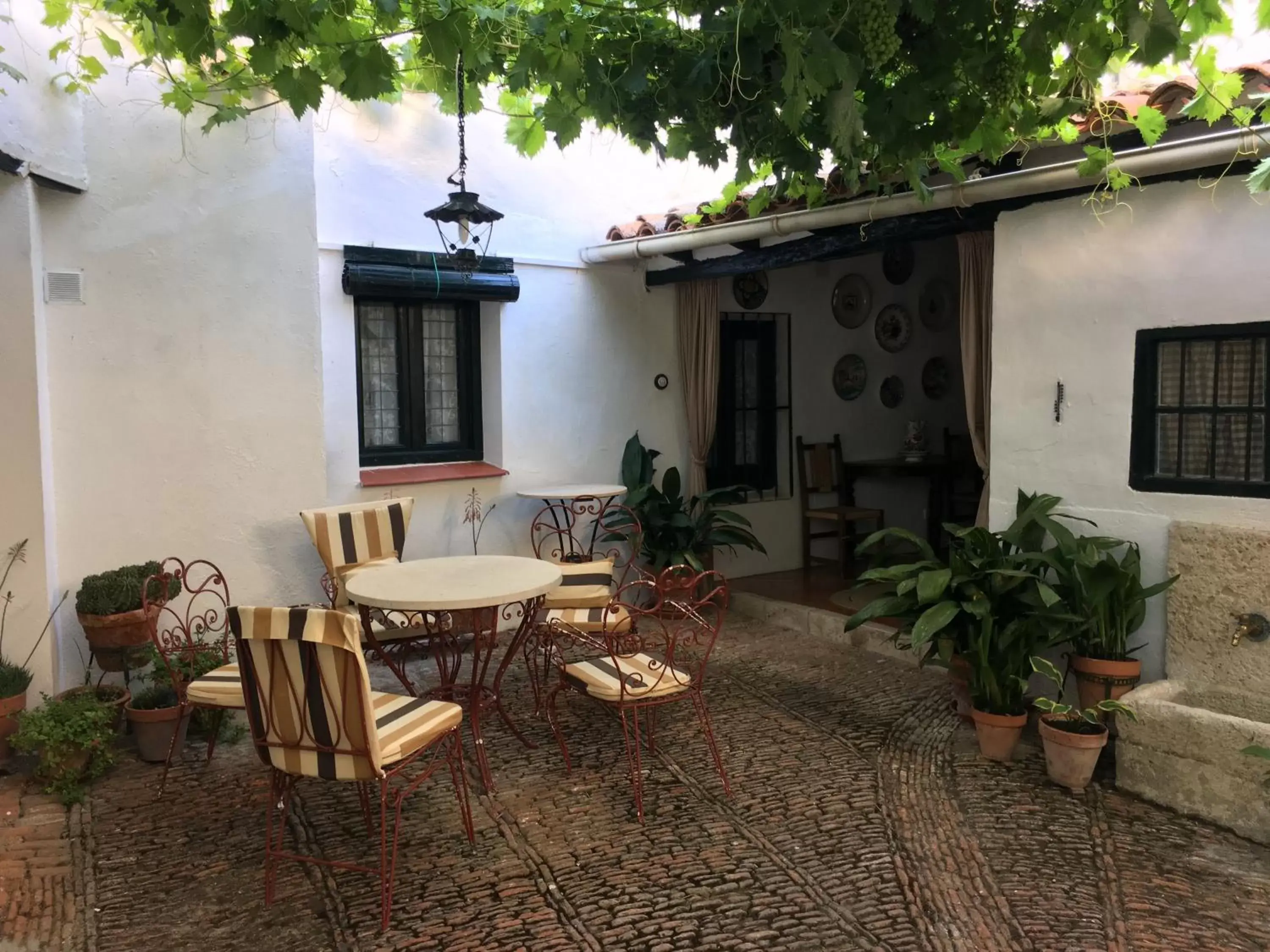 Garden in Casa San Roque