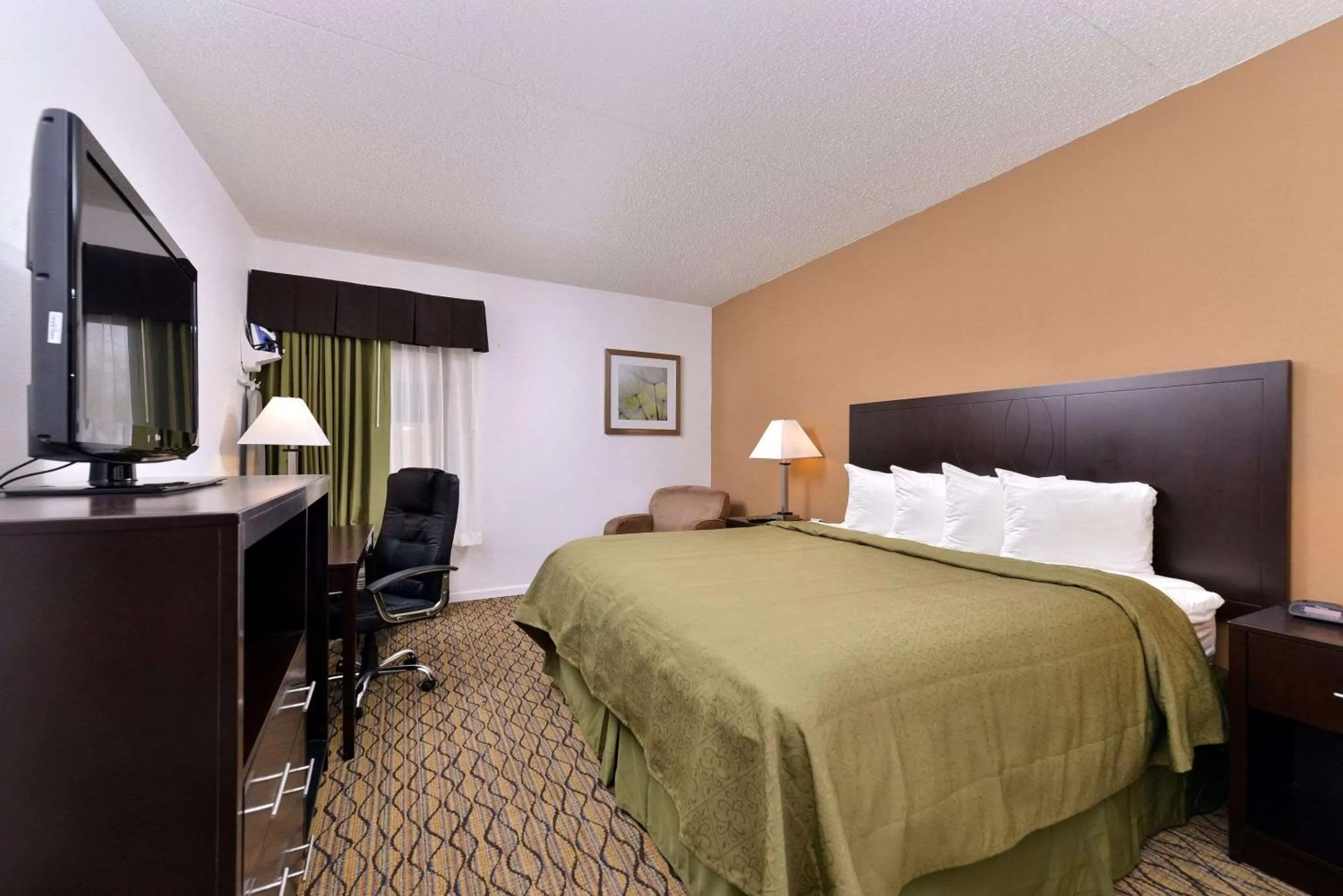 Photo of the whole room, Bed in Quality Inn & Suites Matteson near I-57