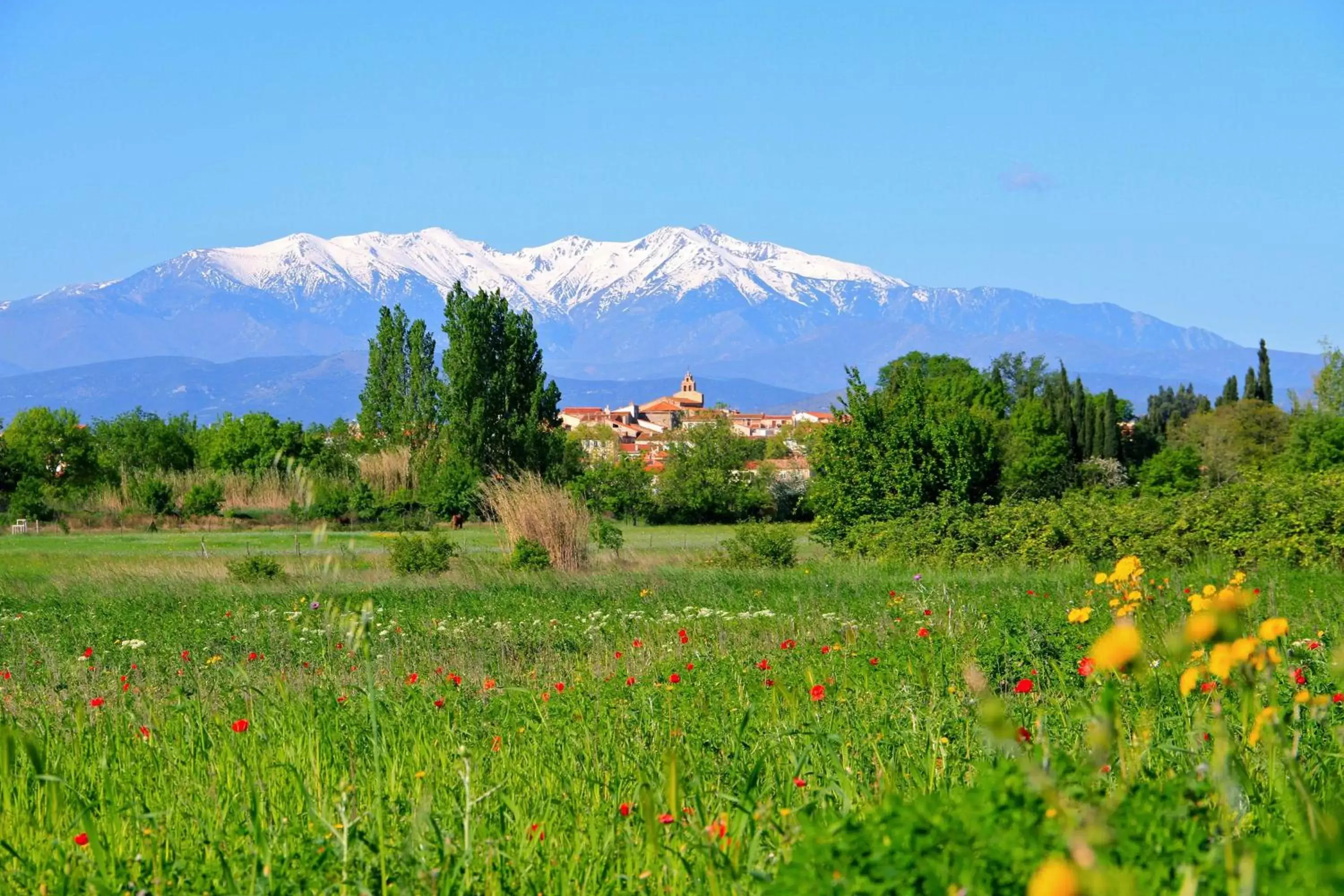 Spring, Natural Landscape in Première Classe Perpignan Nord