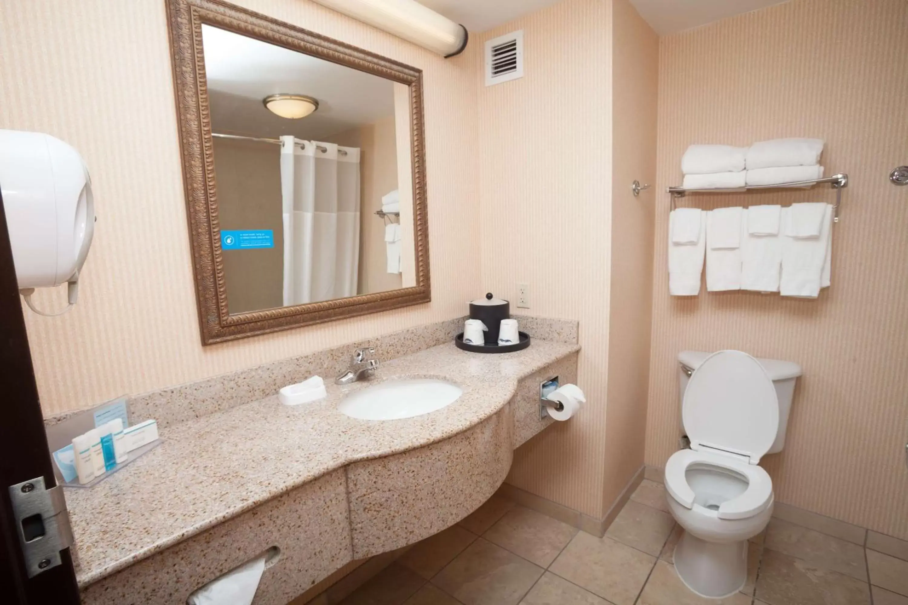 Bathroom in Hampton Inn Oneonta Bathroom in Hampton Inn Oneonta