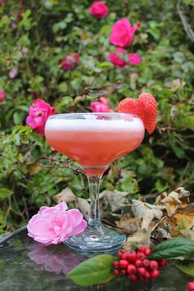 Food and drinks in Darnley Lodge Hotel