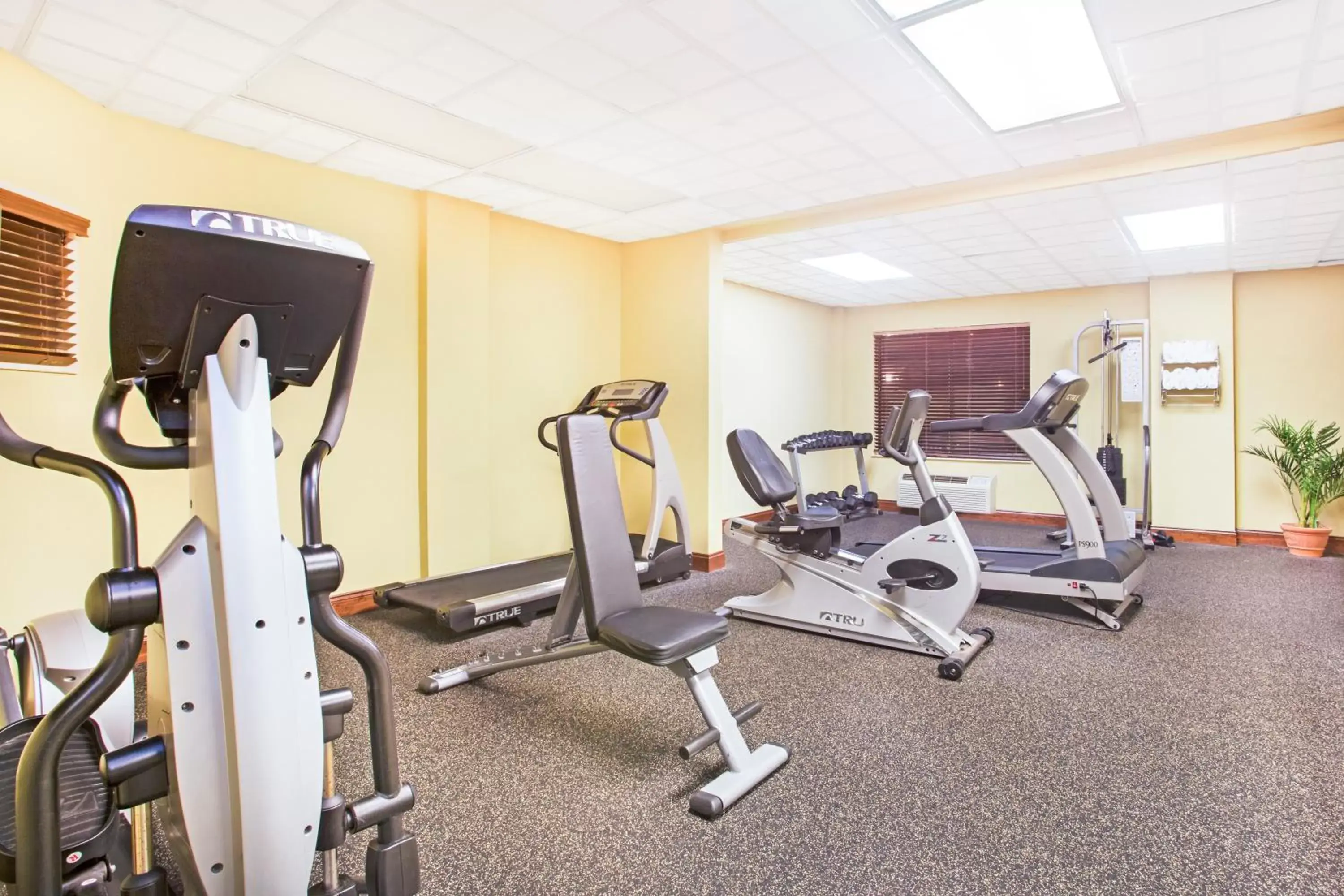 Fitness centre/facilities, Fitness Center/Facilities in Holiday Inn Express & Suites - Mobile - I-65, an IHG Hotel