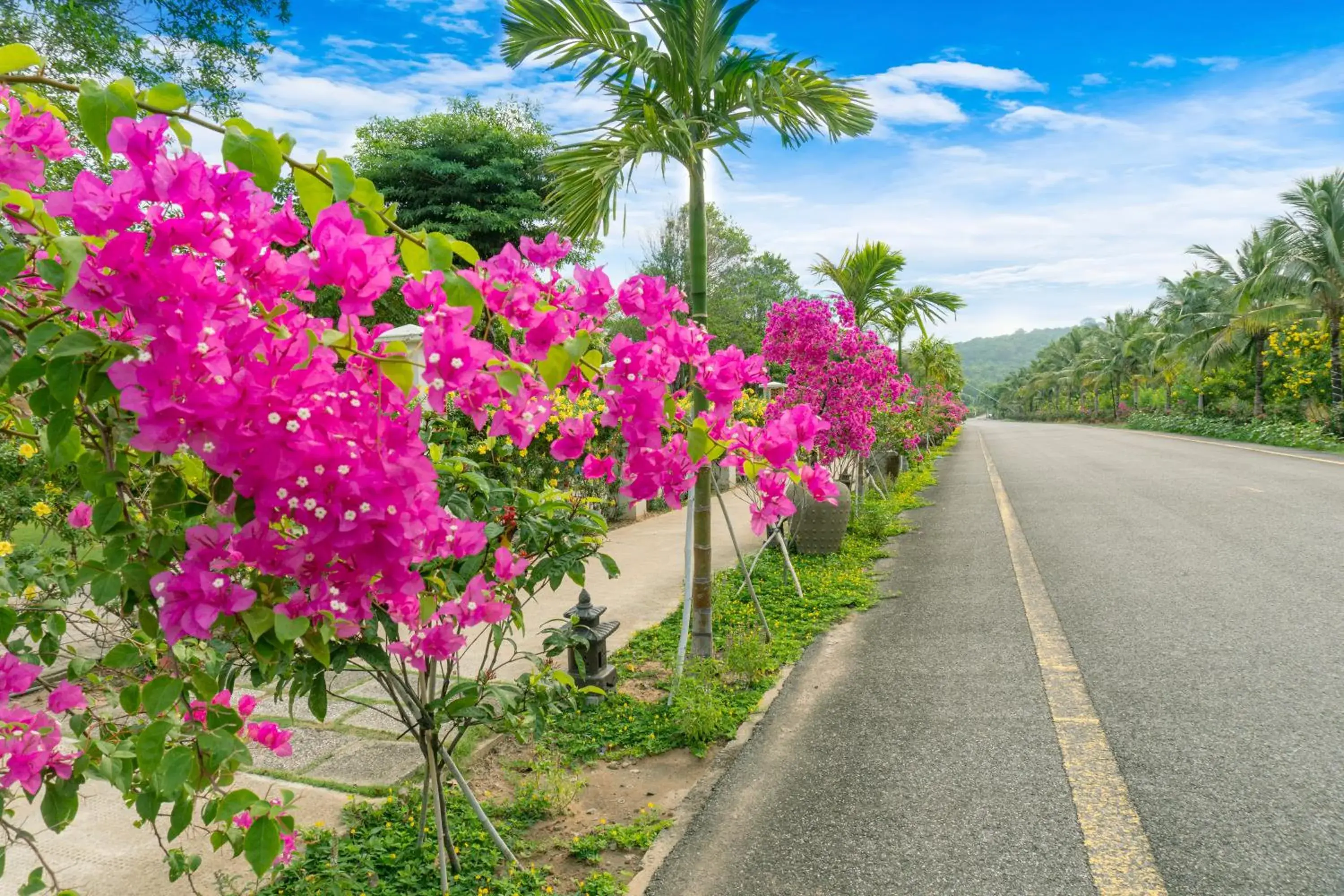 Garden in Mercury Phu Quoc Resort & Villas