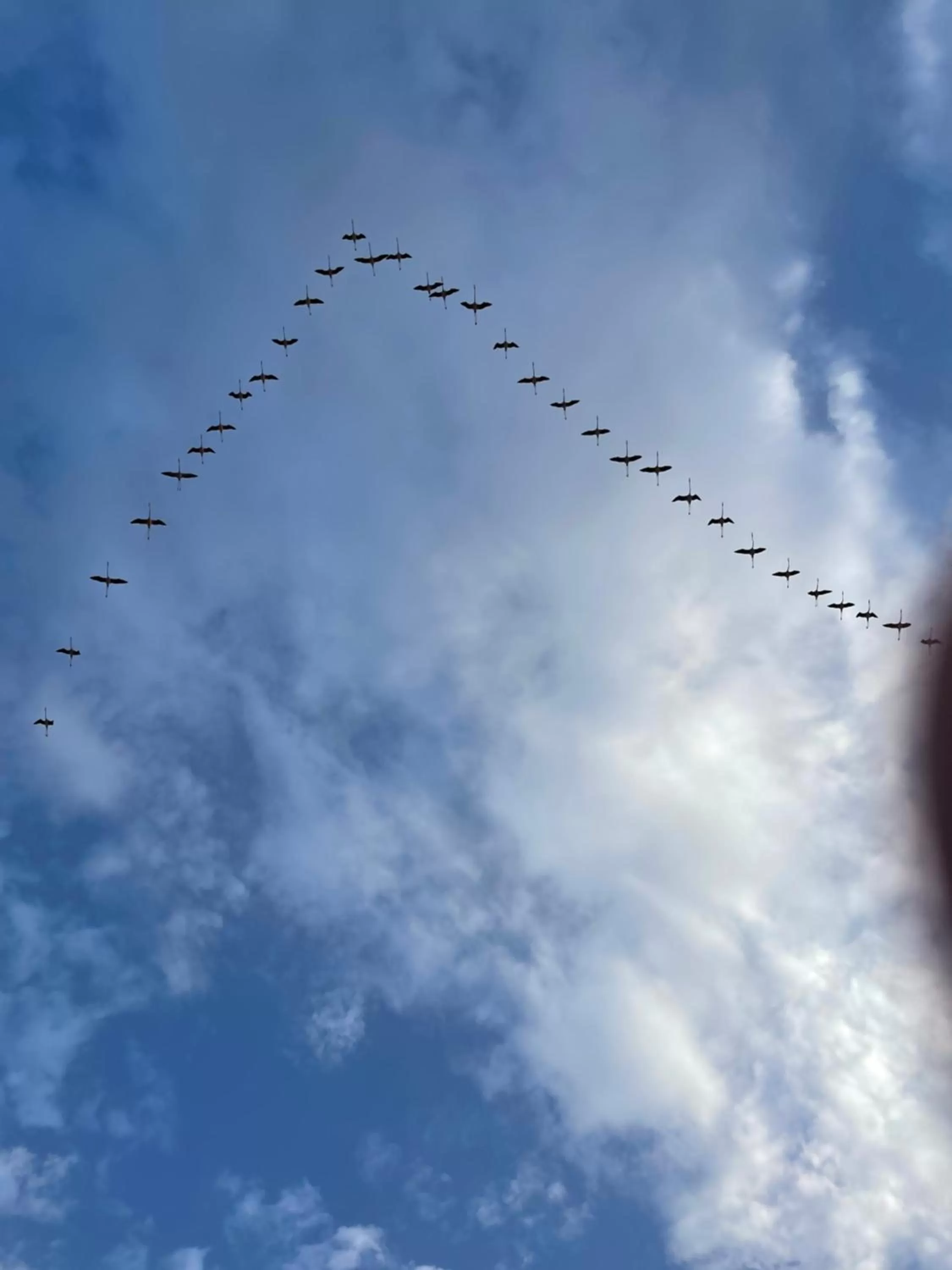 Natural landscape in 18 Dante Luxury Suites