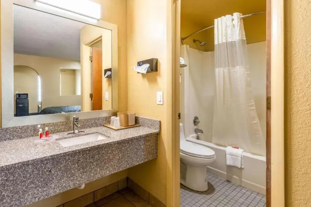 Bathroom in Econo Lodge Inn Suites