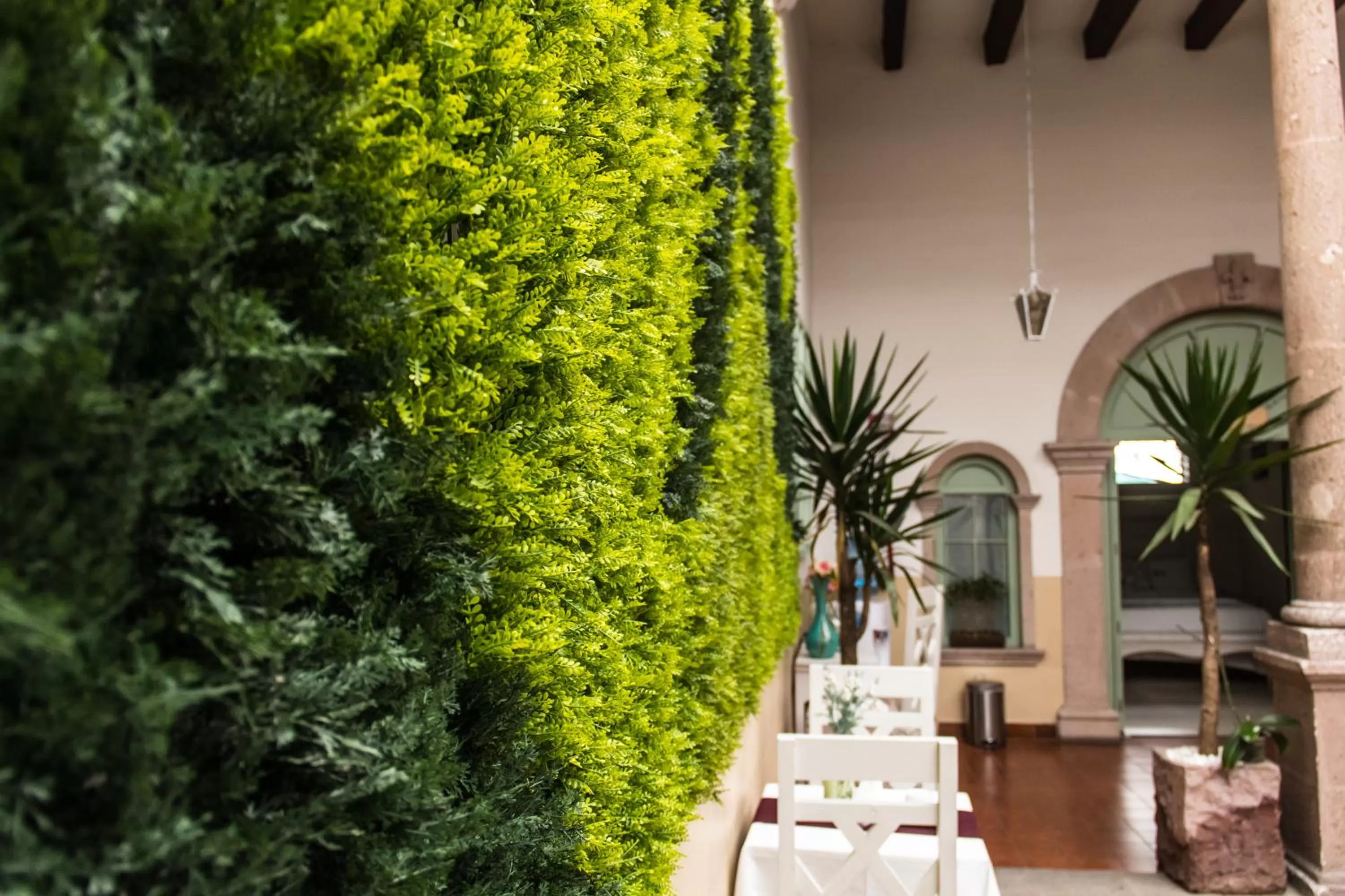 Patio in Casa Jose Maria