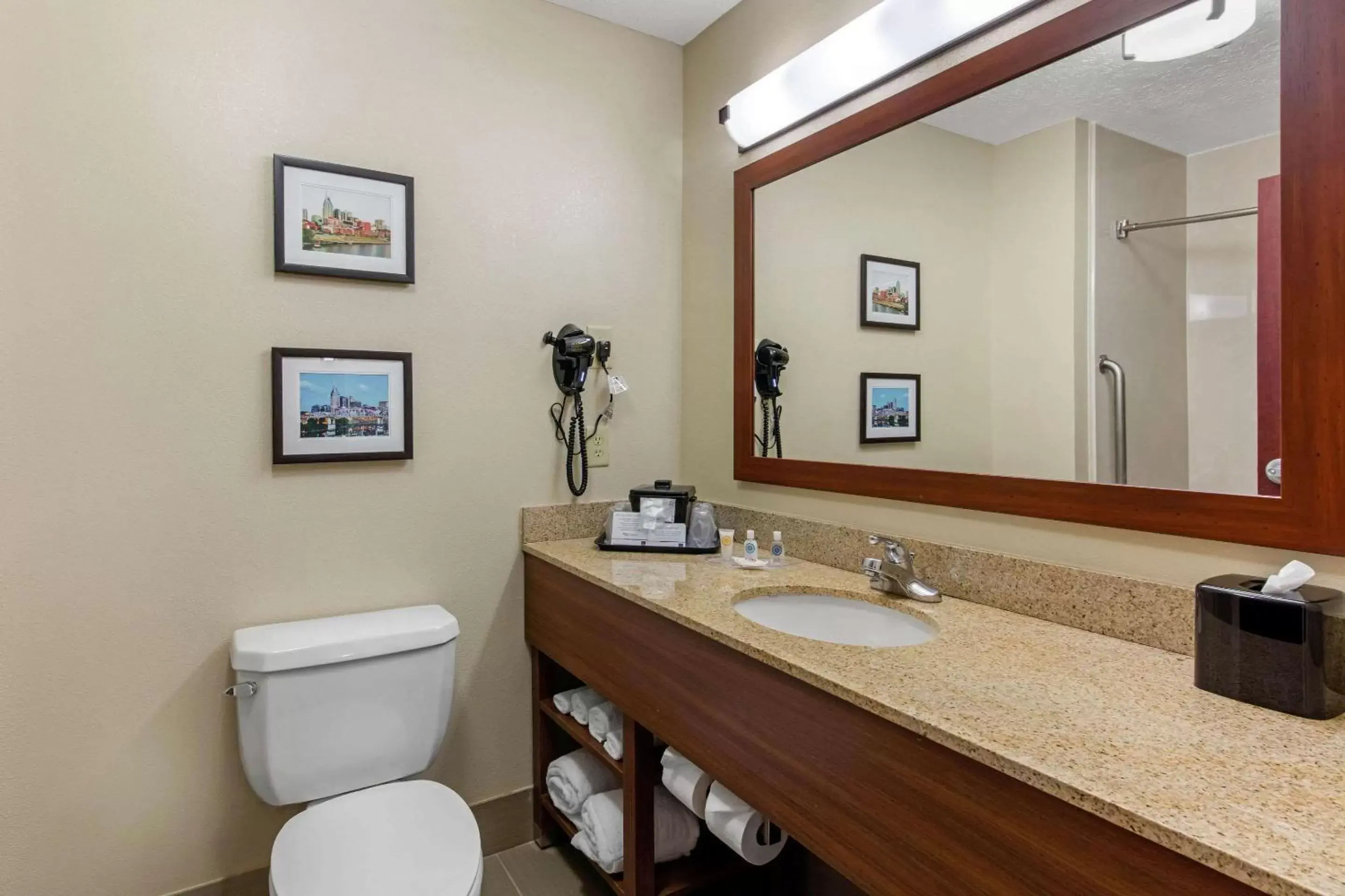 Photo of the whole room, Bathroom in Comfort Suites Nashville