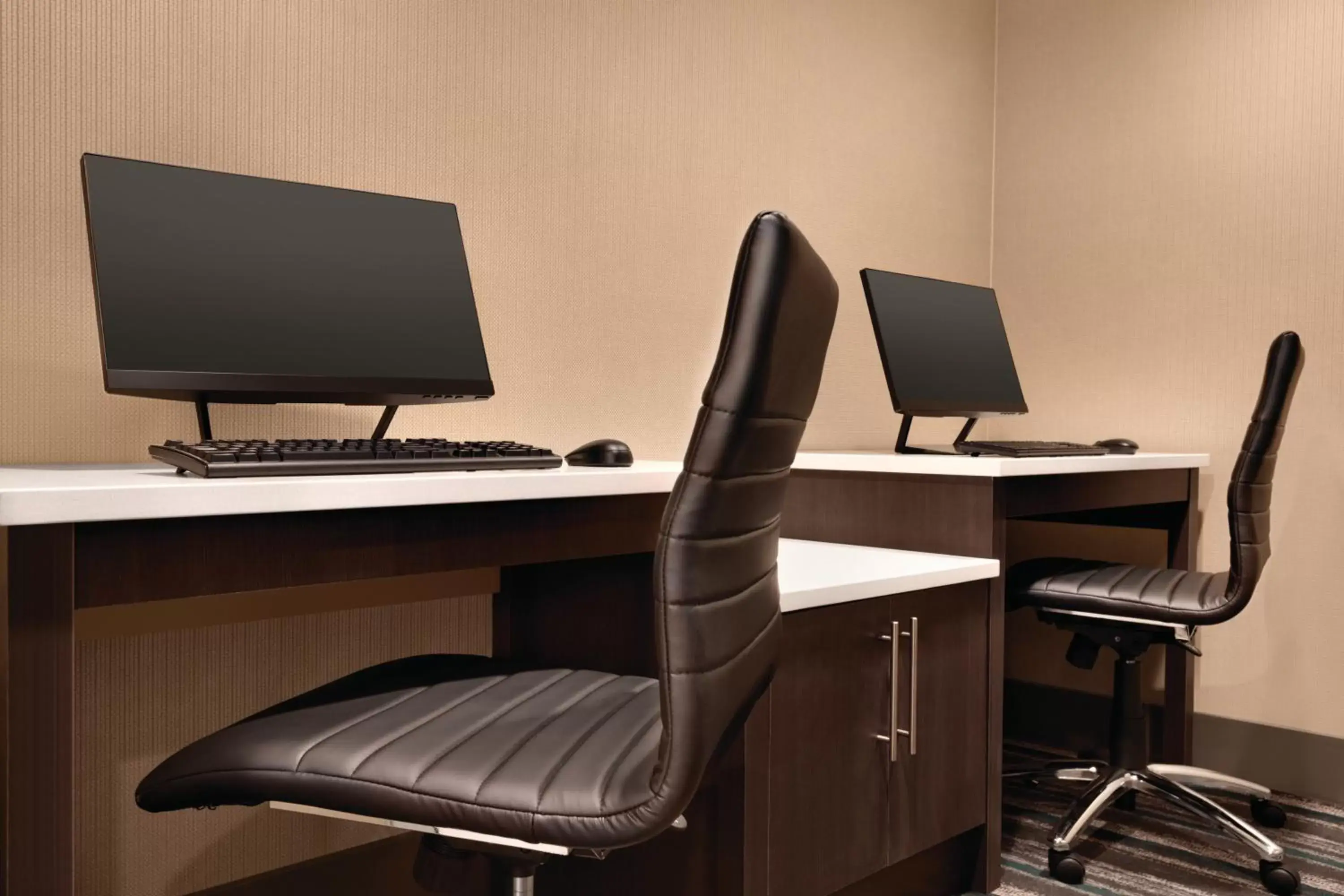 Area and facilities, Business Area/Conference Room in Radisson Hotel Charlotte Airport