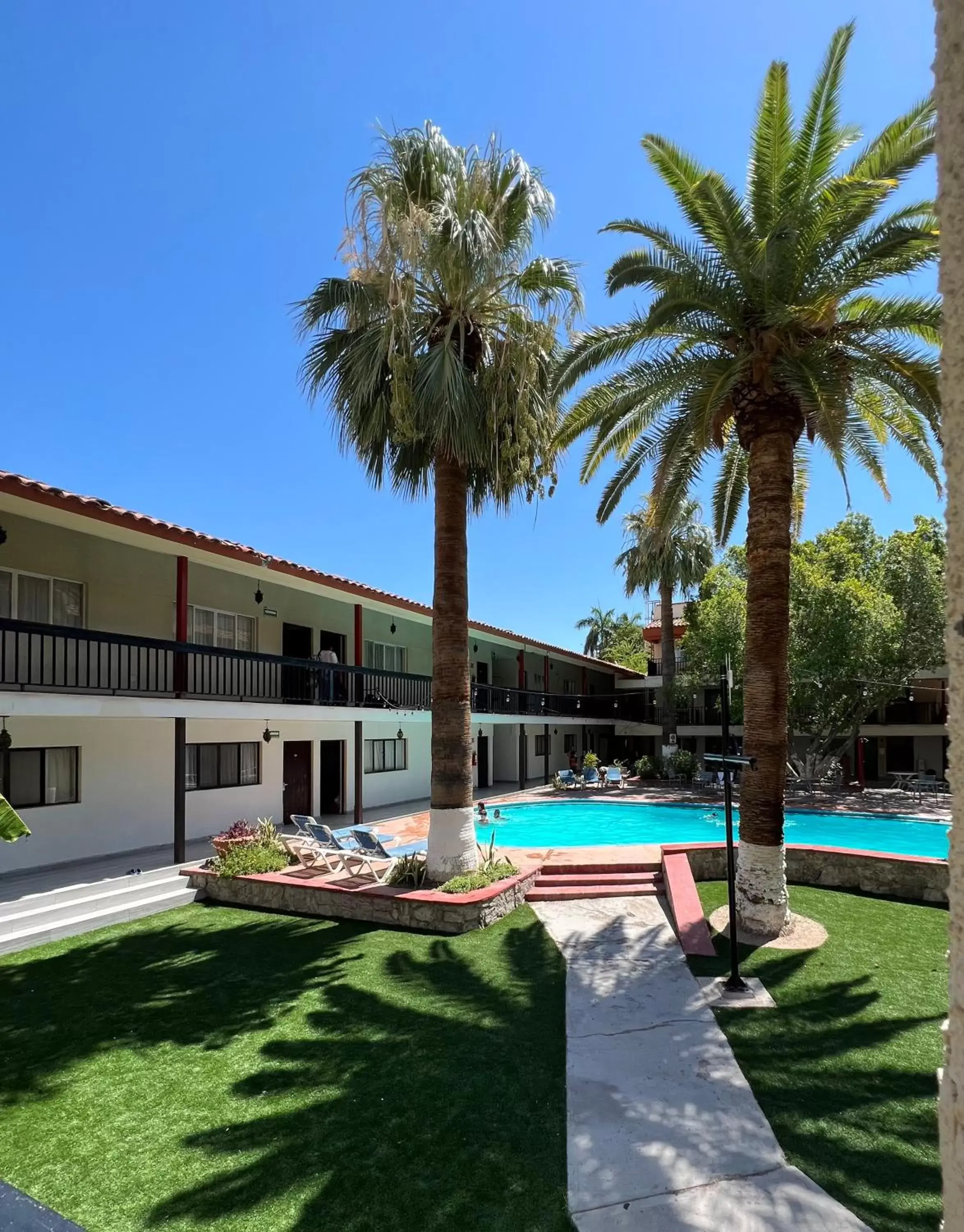 Garden, Swimming Pool in Hotel Bugambilia