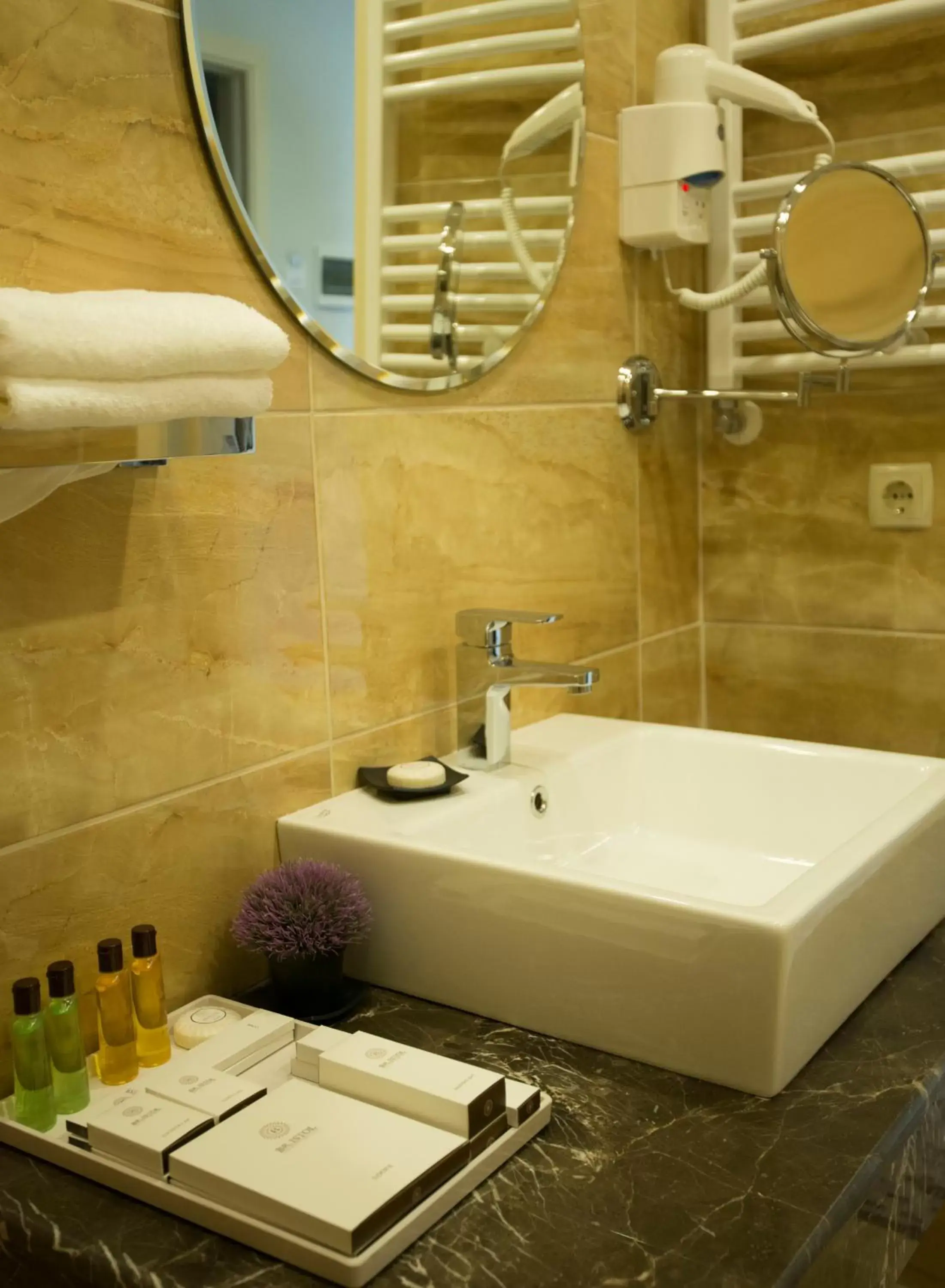 Shower, Bathroom in Bristol Central Park Hotel