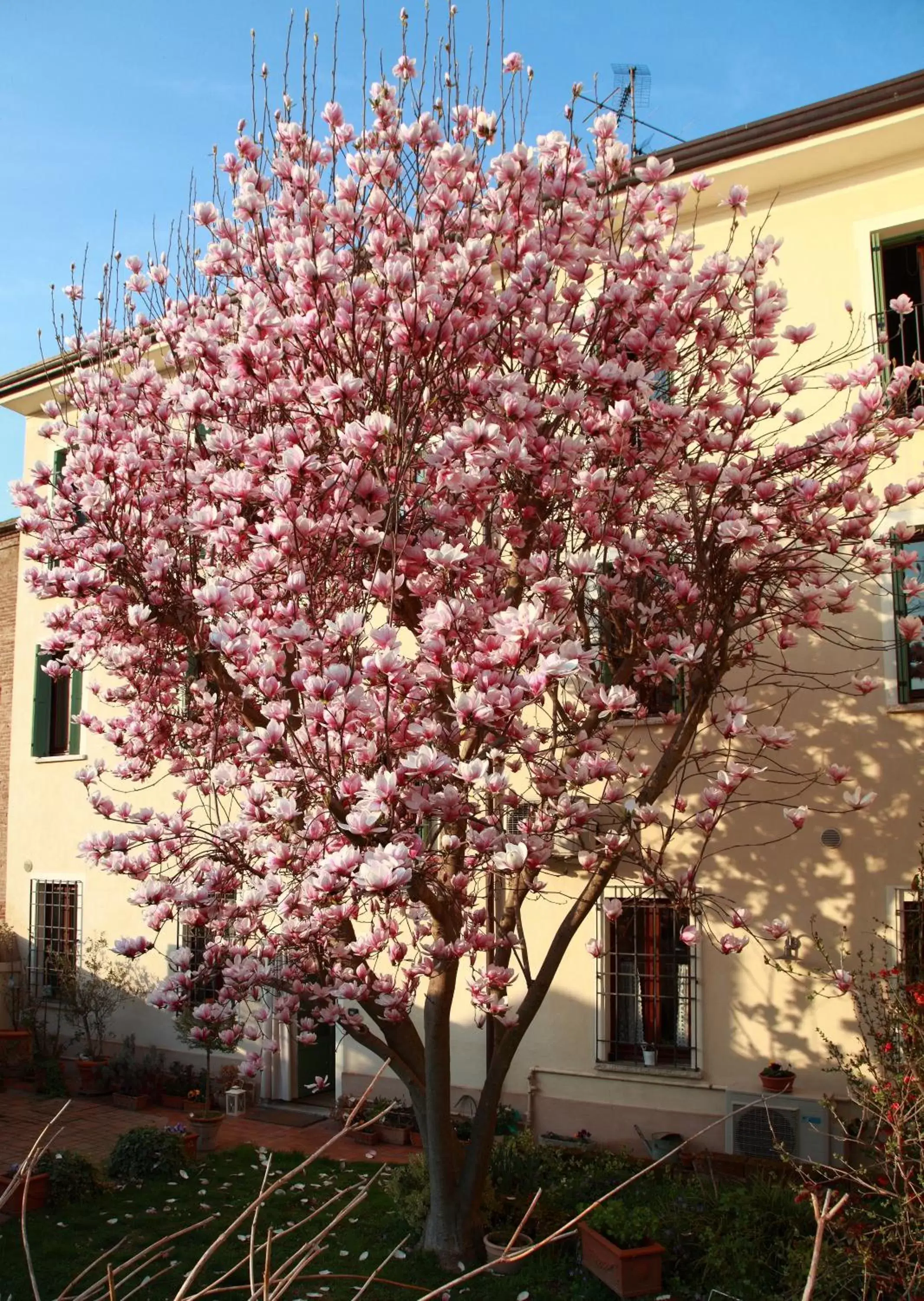 Facade/entrance, Property Building in B&B La Magnolia