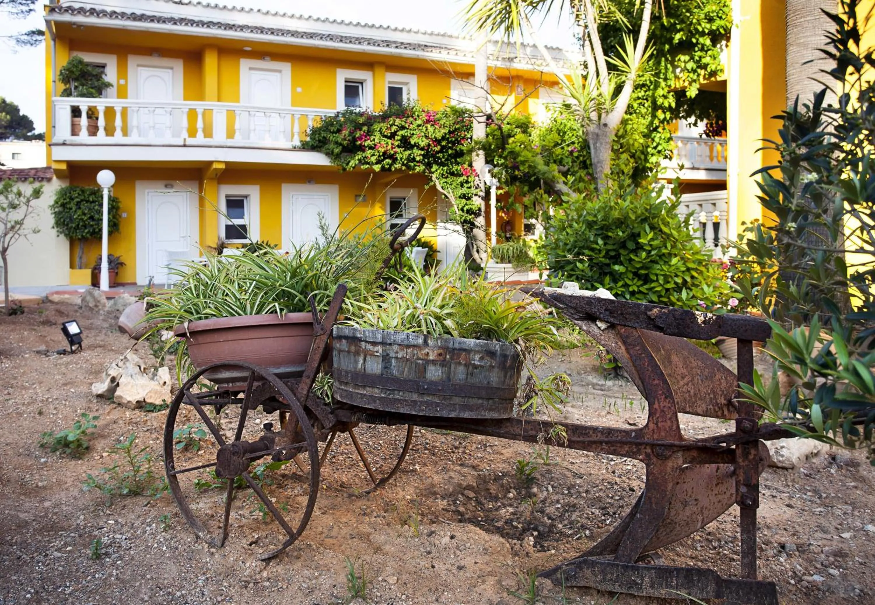Garden in Hotel Cupidor